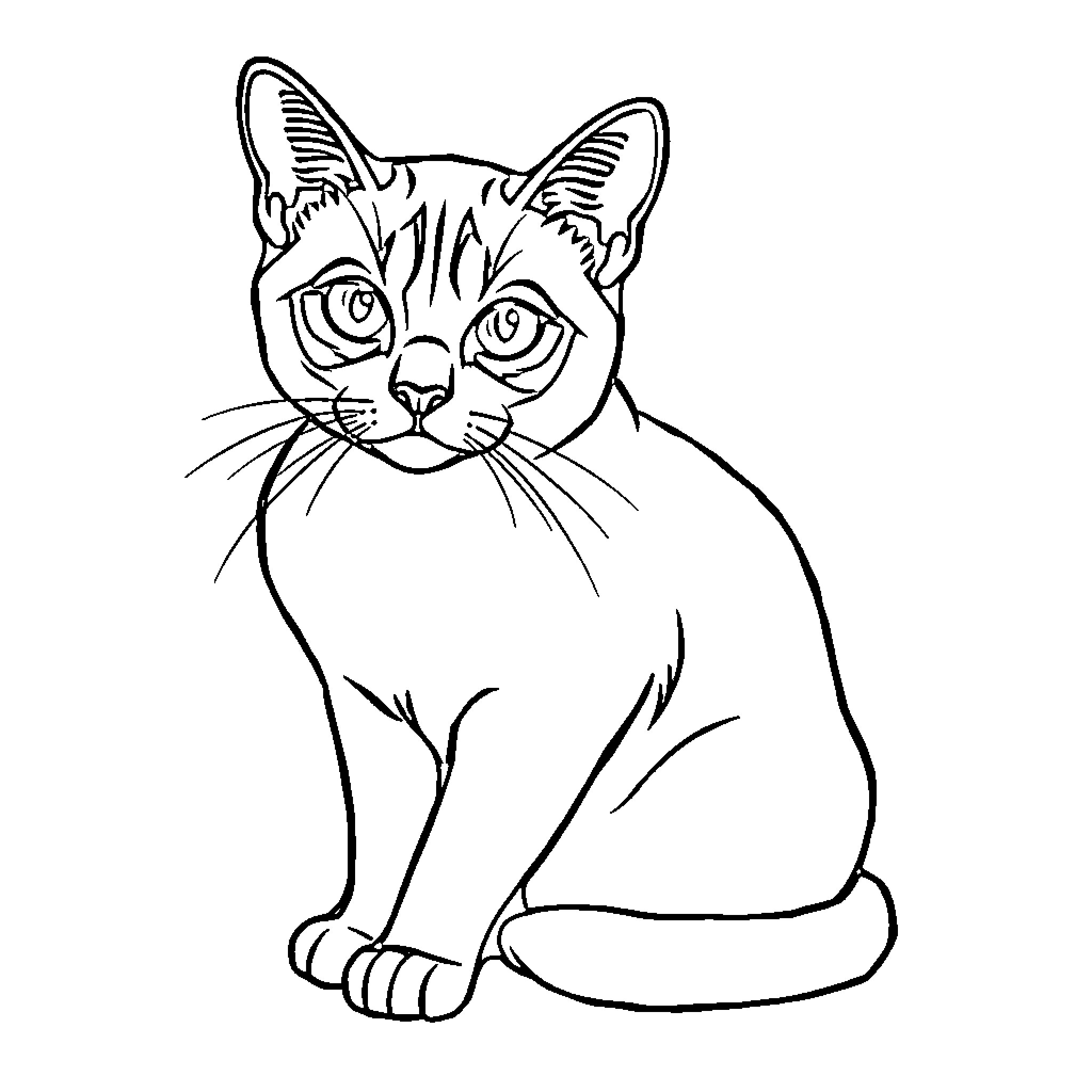 Siamese Cat in Thoughtful Pose Coloring Page (free black-and-white line drawing printable PDF for all, from beginners to advanced learners, including children, teens, adults, and seniors)