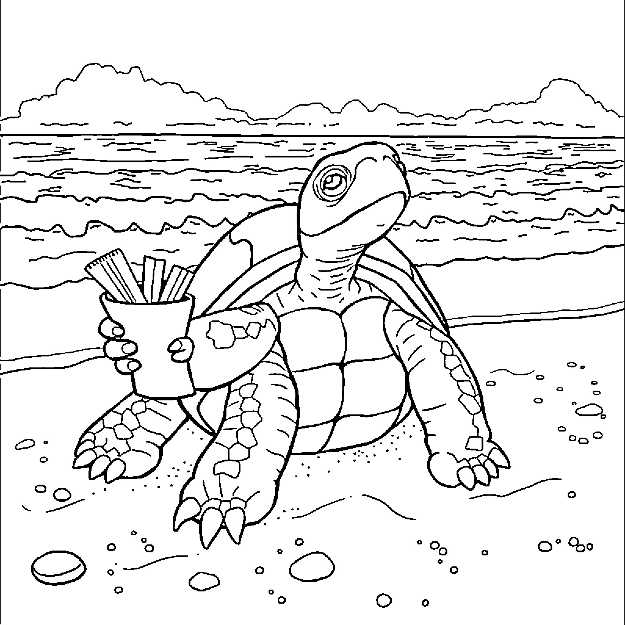 Turtle Enjoying a Snack on the Beach Coloring Page (free black-and-white line drawing printable PDF for all, from beginners to advanced learners, including children, teens, adults, and seniors)