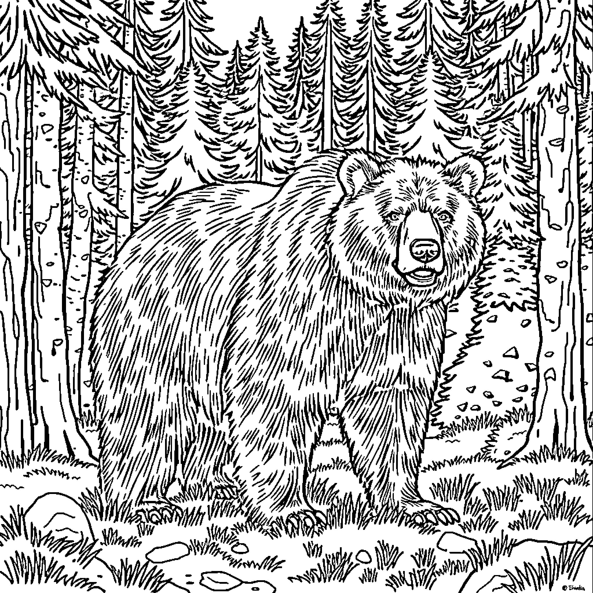Bear wandering through the enchanted forest Coloring Page (free black-and-white line drawing printable PDF for all, from beginners to advanced learners, including children, teens, adults, and seniors)