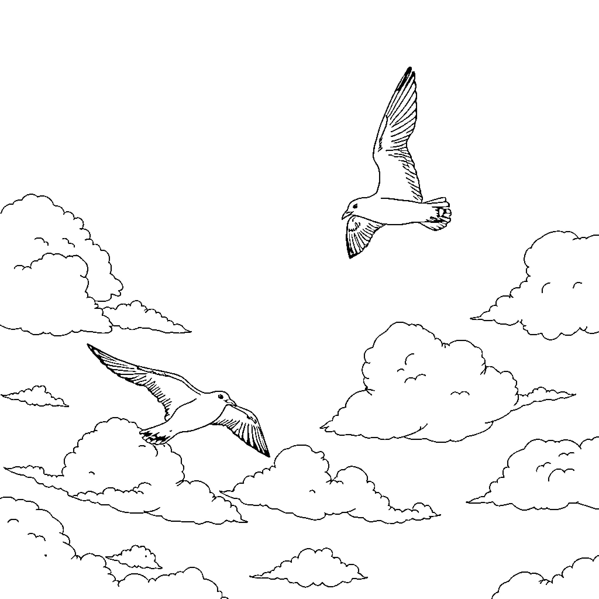 Seagulls soaring gracefully in the cloudy sky Coloring Page (free black-and-white line drawing printable PDF for all, from beginners to advanced learners, including children, teens, adults, and seniors)