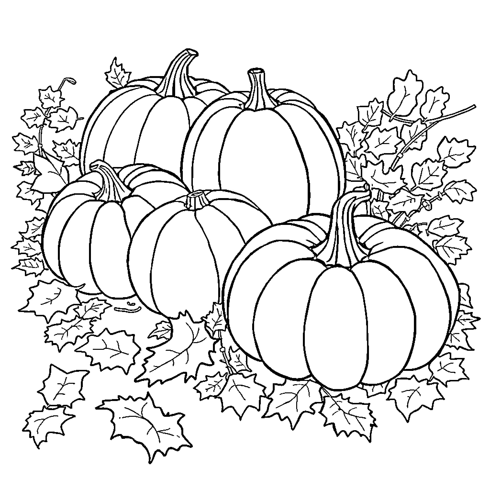 Leaf Patch of Vibrant Pumpkins Coloring Page (free black-and-white line drawing printable PDF for all, from beginners to advanced learners, including children, teens, adults, and seniors)