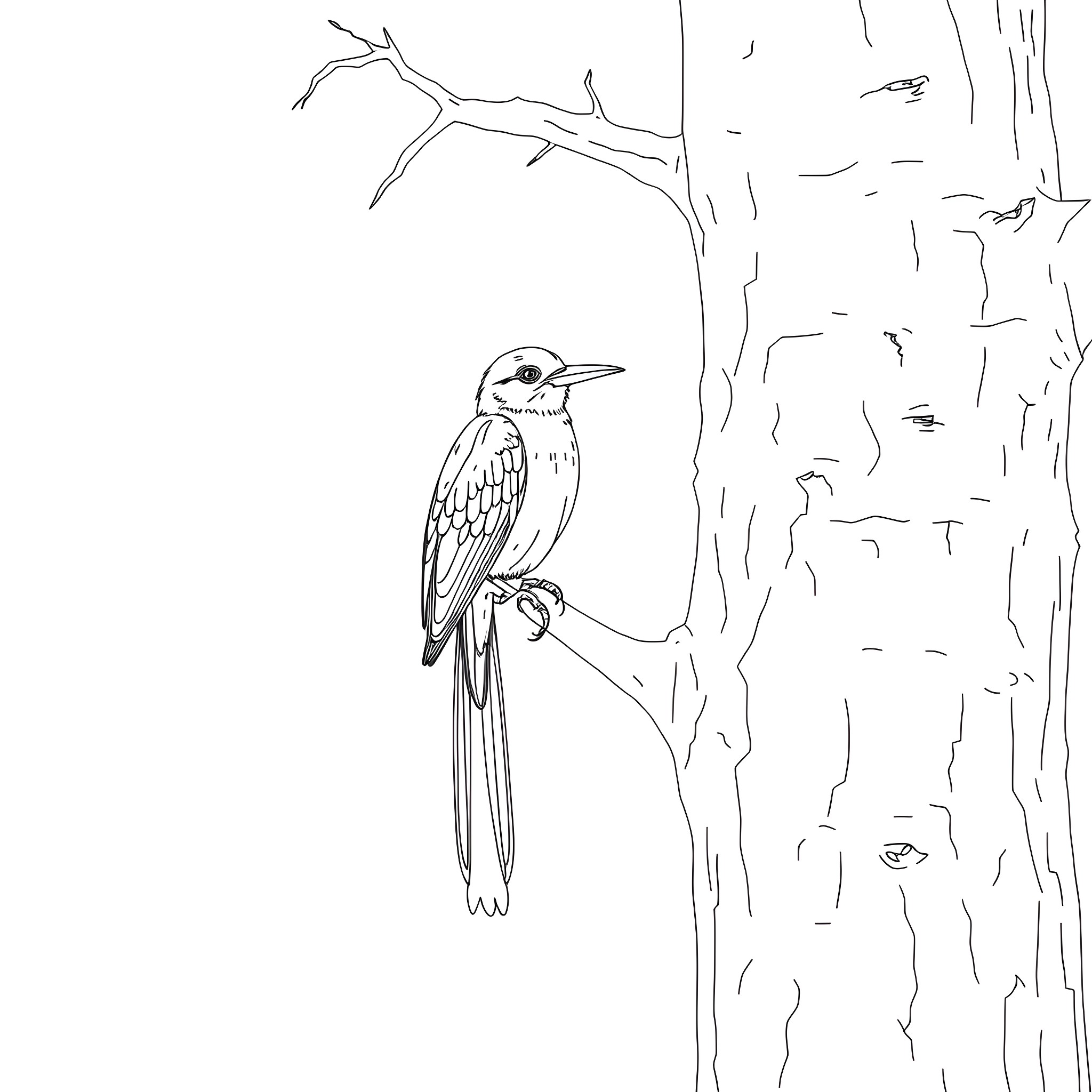 Passerina perched on a tree branch Coloring Page (free black-and-white line drawing printable PDF for all, from beginners to advanced learners, including children, teens, adults, and seniors)