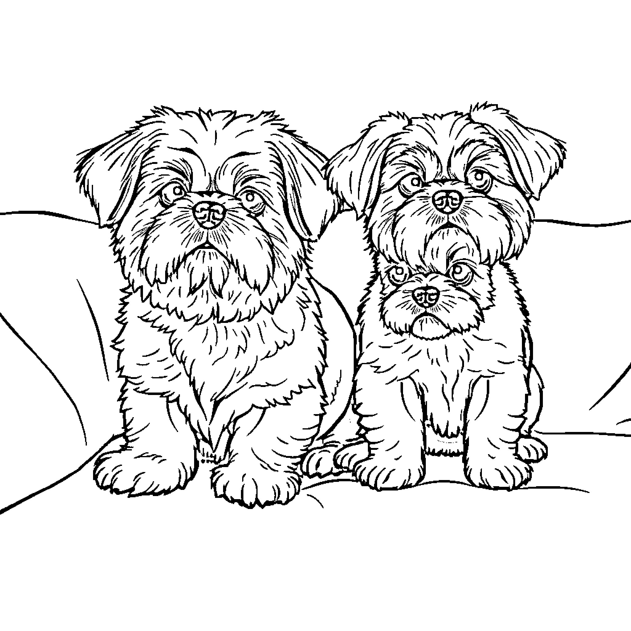 Shih Tzu Pals Posing Adorably Coloring Page (free black-and-white line drawing printable PDF for all, from beginners to advanced learners, including children, teens, adults, and seniors)