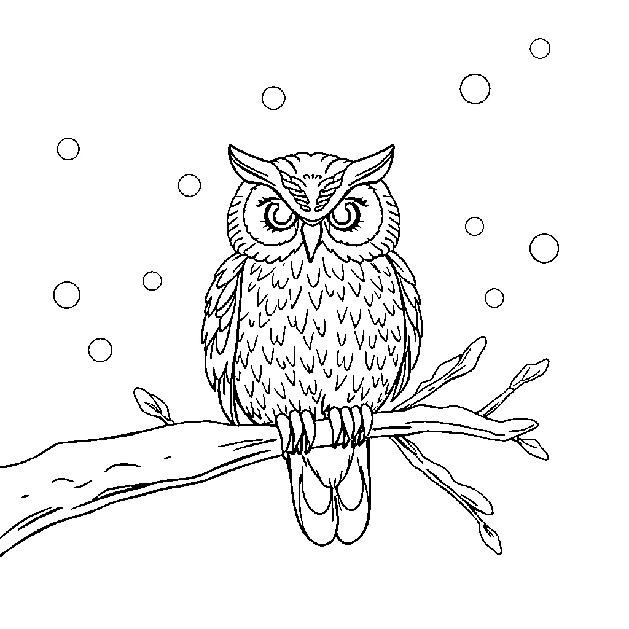 Owl perched on branch with bubbles Coloring Page (free black-and-white line drawing printable PDF for all, from beginners to advanced learners, including children, teens, adults, and seniors)