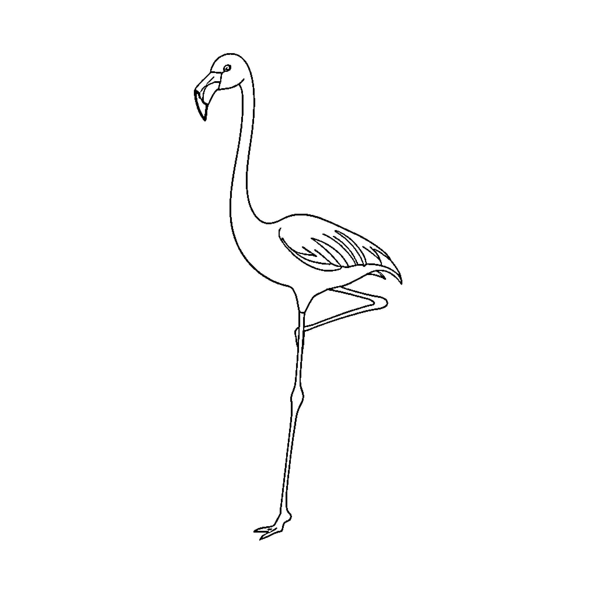 Flamingo standing elegantly on one leg Coloring Page (free black-and-white line drawing printable PDF for all, from beginners to advanced learners, including children, teens, adults, and seniors)
