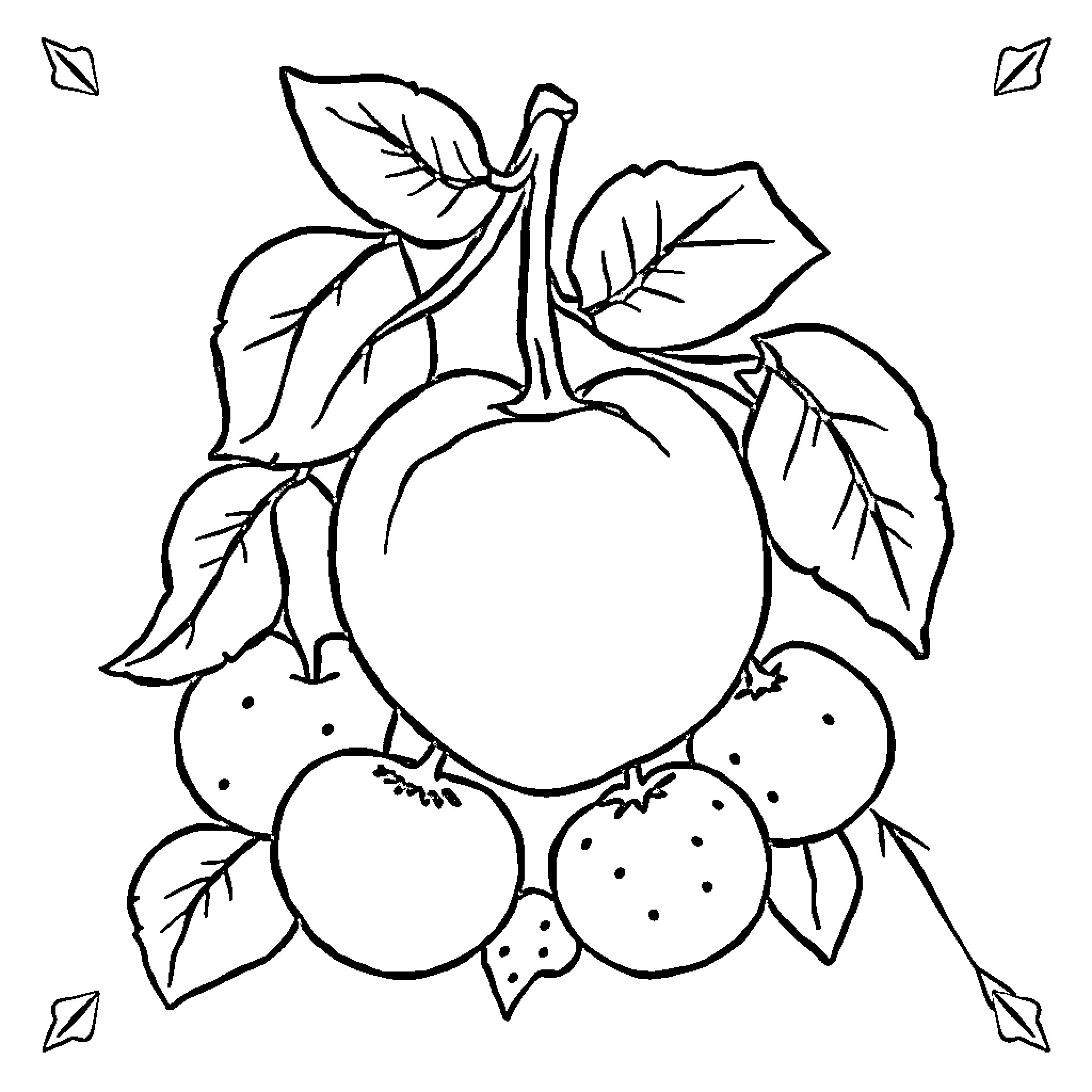 Fruit abundance with leaves and stems Coloring Page (free black-and-white line drawing printable PDF for all, from beginners to advanced learners, including children, teens, adults, and seniors)