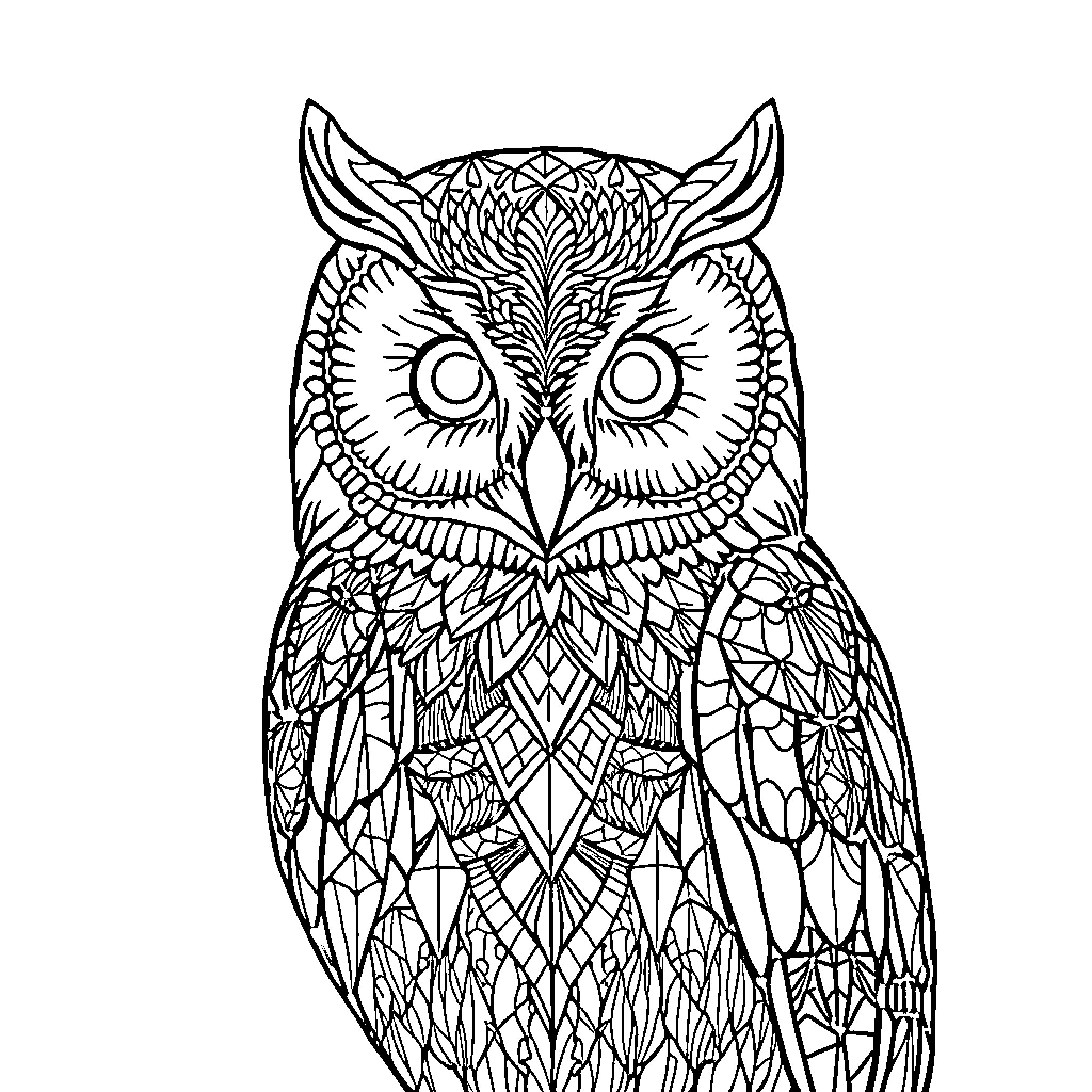 Barn Owl with Intricate Patterns Coloring Page (free black-and-white line drawing printable PDF for all, from beginners to advanced learners, including children, teens, adults, and seniors)