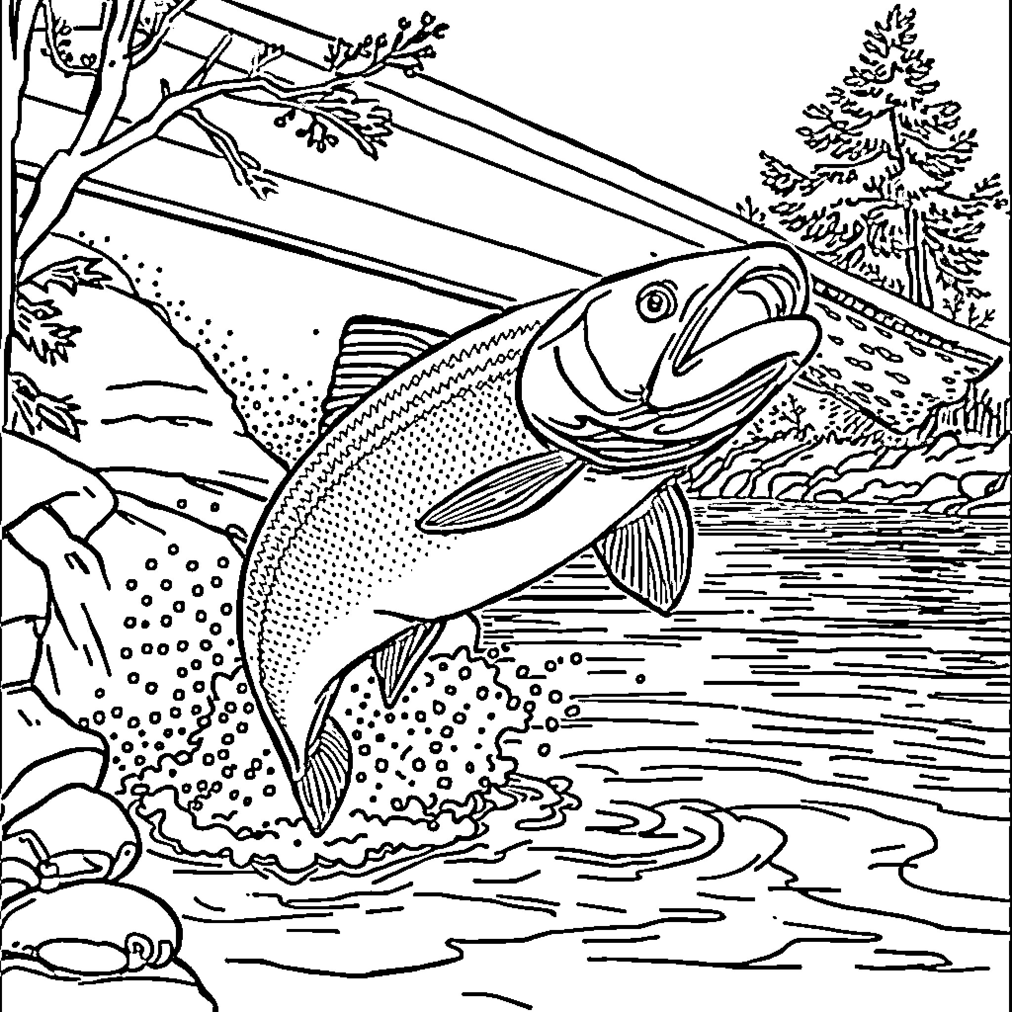 Salmon leaping in the river through nature Coloring Page (free black-and-white line drawing printable PDF for all, from beginners to advanced learners, including children, teens, adults, and seniors)