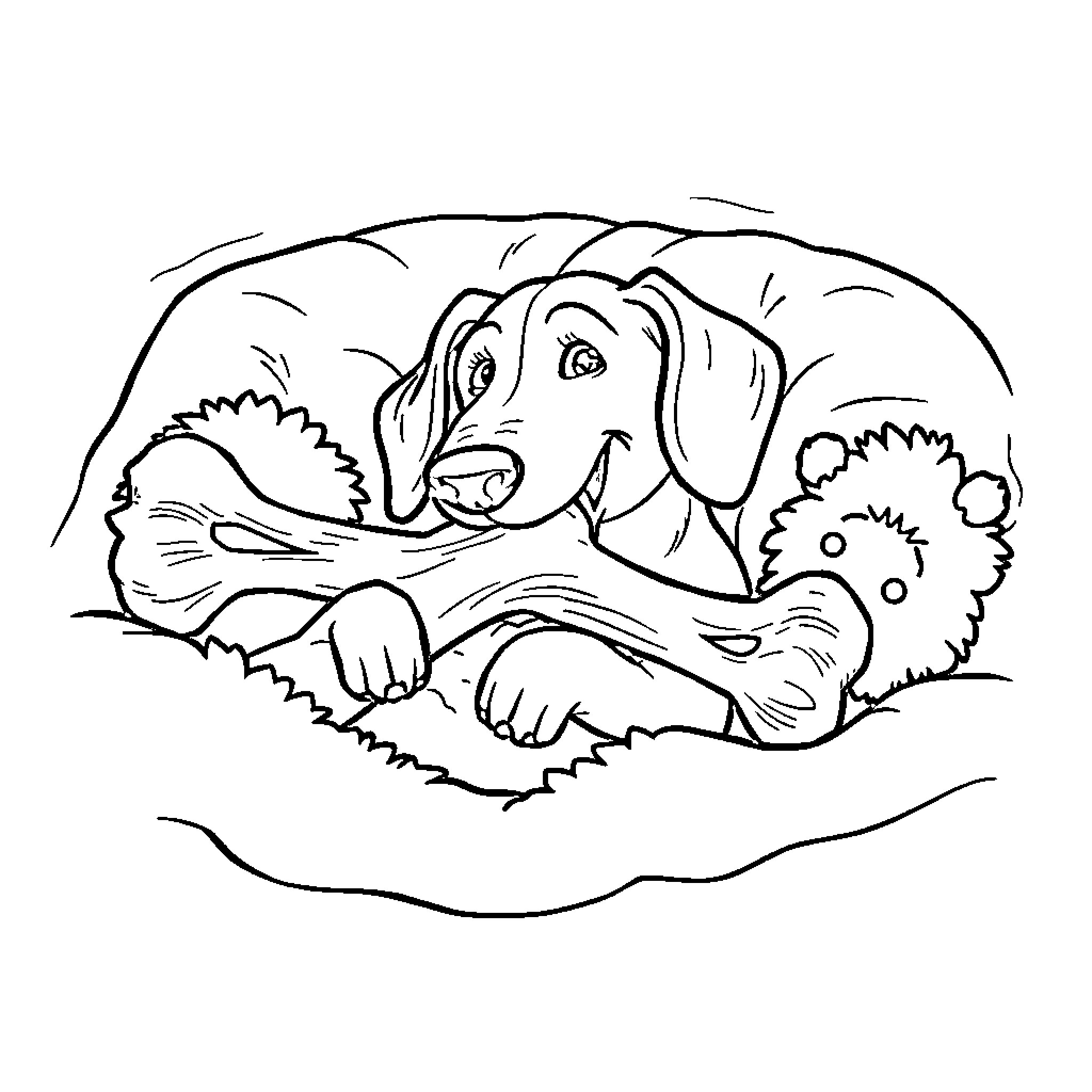 Sausage Dog resting comfortably in the grass Coloring Page (free black-and-white line drawing printable PDF for all, from beginners to advanced learners, including children, teens, adults, and seniors)