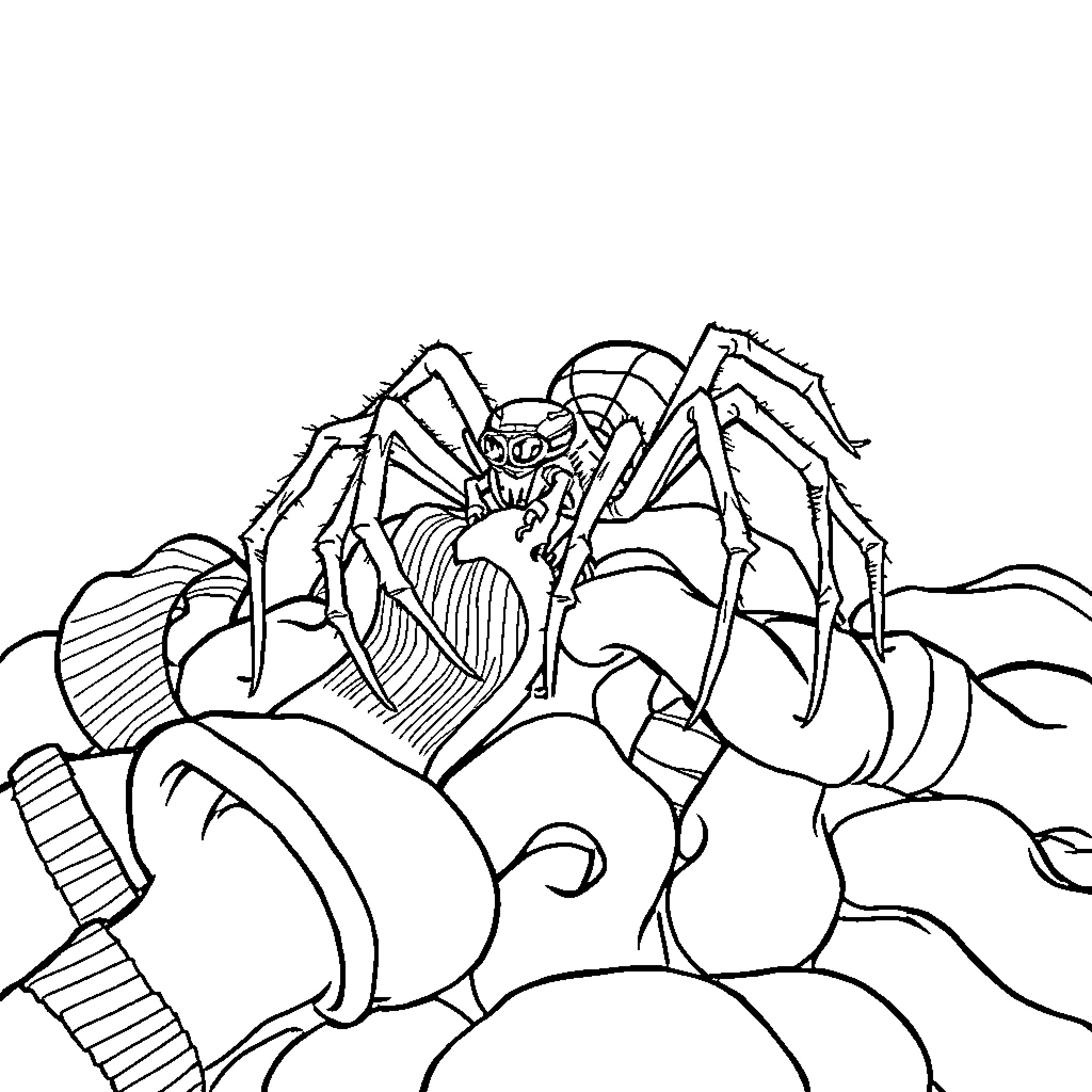 Spider crawling among rocks and debris Coloring Page (free black-and-white line drawing printable PDF for all, from beginners to advanced learners, including children, teens, adults, and seniors)