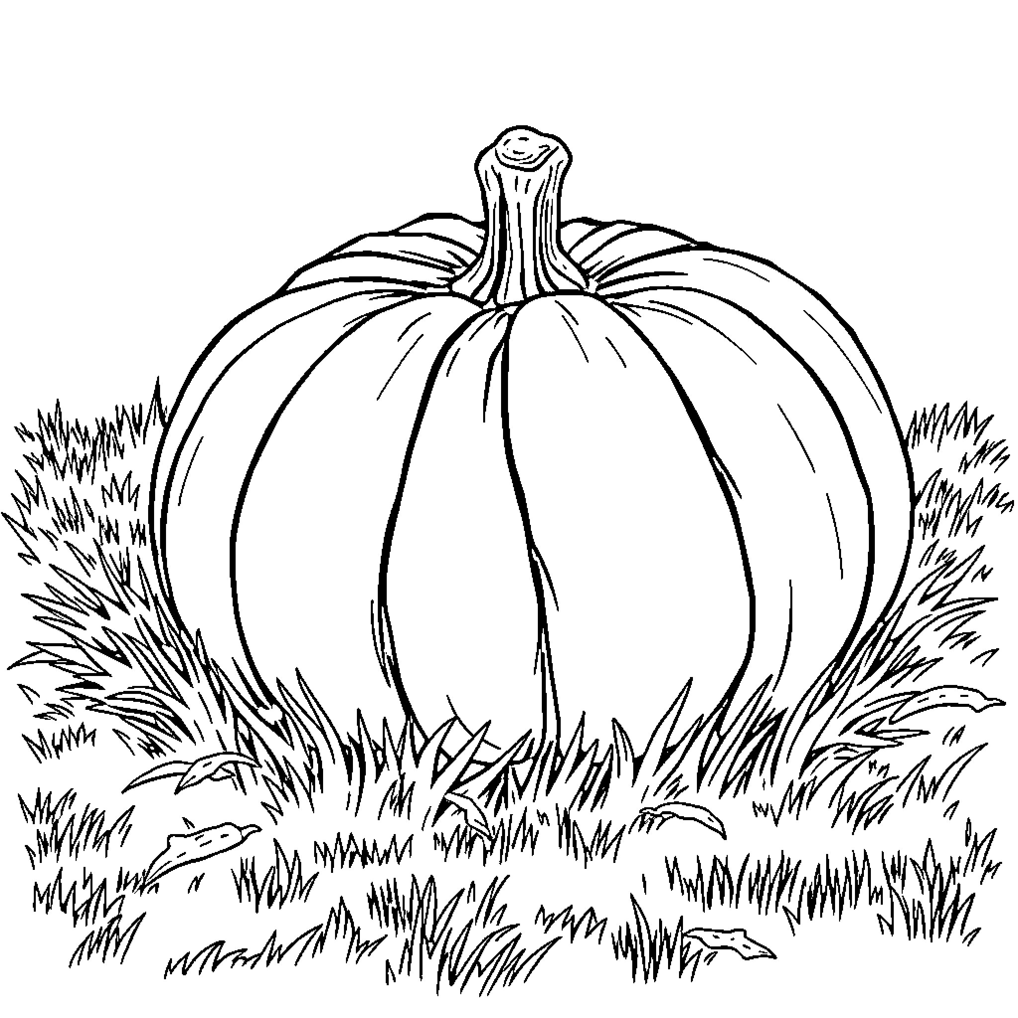 Pumpkin sitting in the grass Coloring Page (free black-and-white line drawing printable PDF for all, from beginners to advanced learners, including children, teens, adults, and seniors)