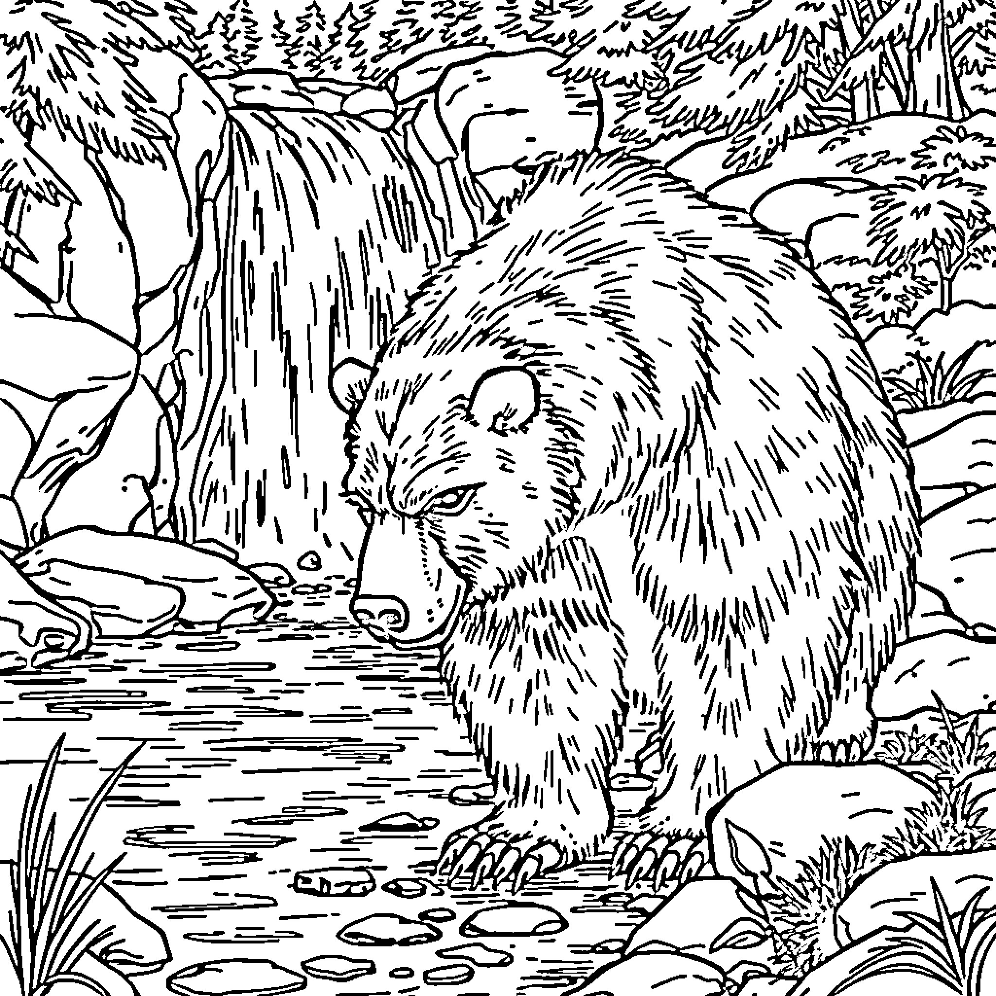 Grizzly Bear in a Tranquil Forest Waterfall Scene Coloring Page (free black-and-white line drawing printable PDF for all, from beginners to advanced learners, including children, teens, adults, and seniors)