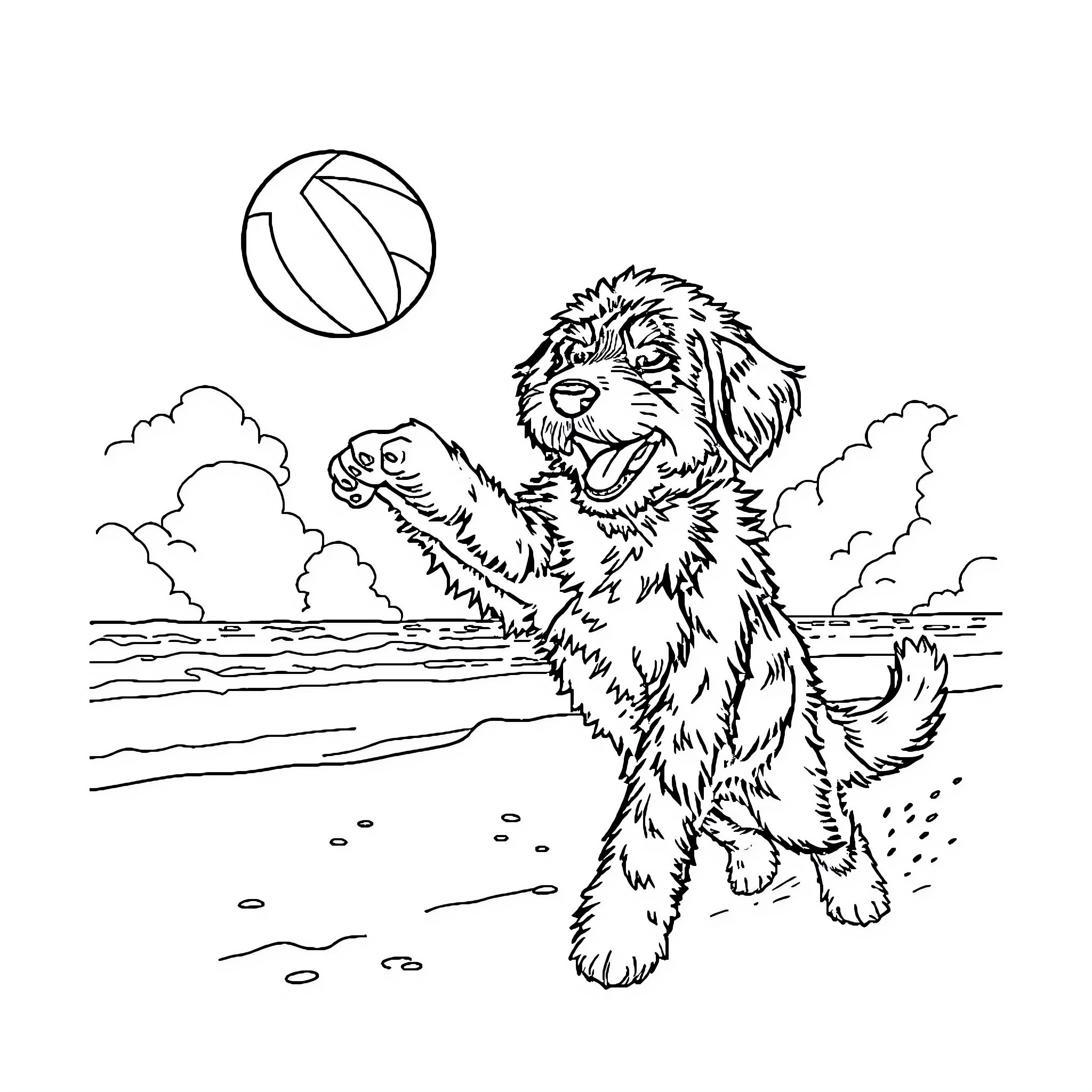 Bernedoodle playing joyfully with a ball on the beach Coloring Page (free black-and-white line drawing printable PDF for all, from beginners to advanced learners, including children, teens, adults, and seniors)