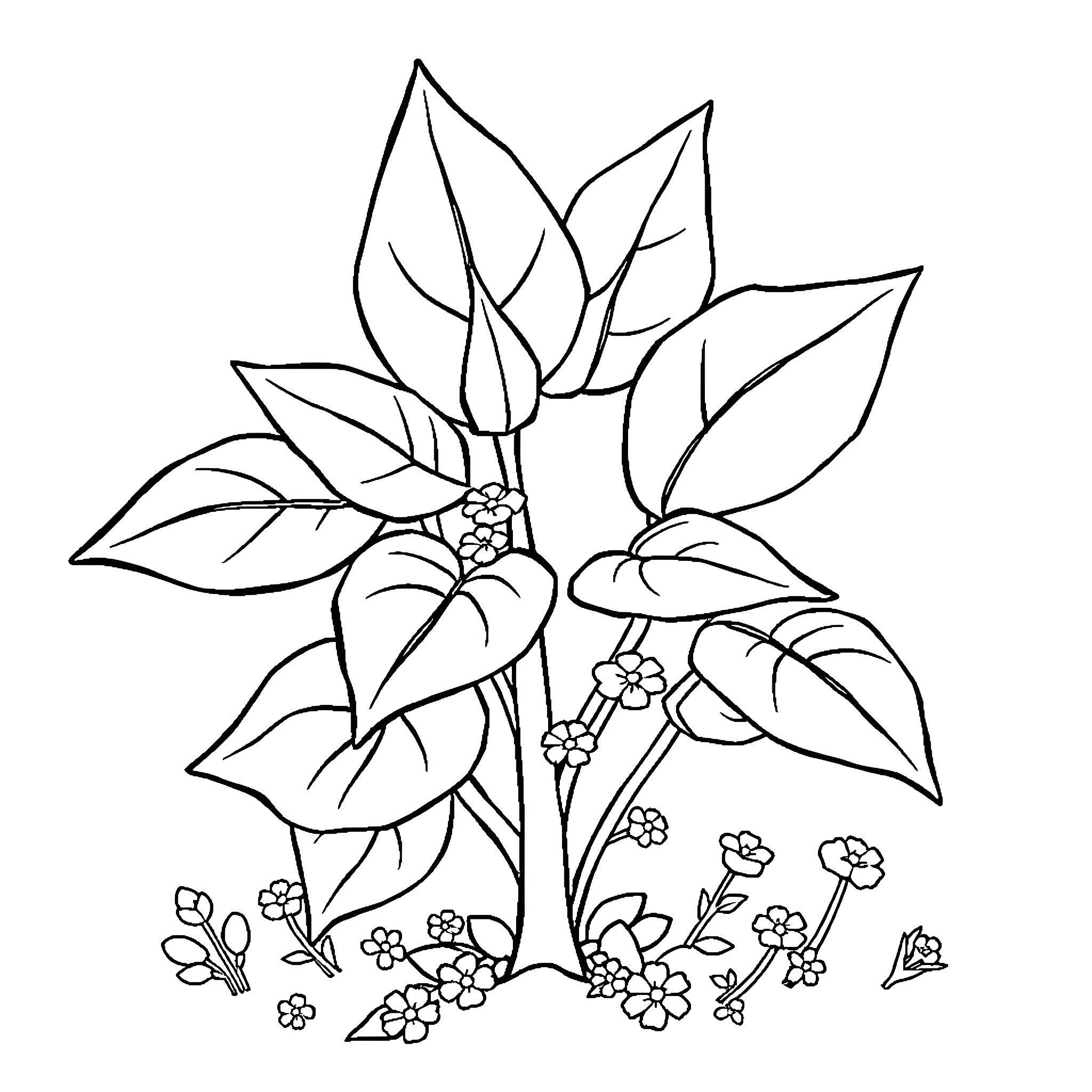 Pokémon floral plant with blooming flowers Coloring Page (free black-and-white line drawing printable PDF for all, from beginners to advanced learners, including children, teens, adults, and seniors)