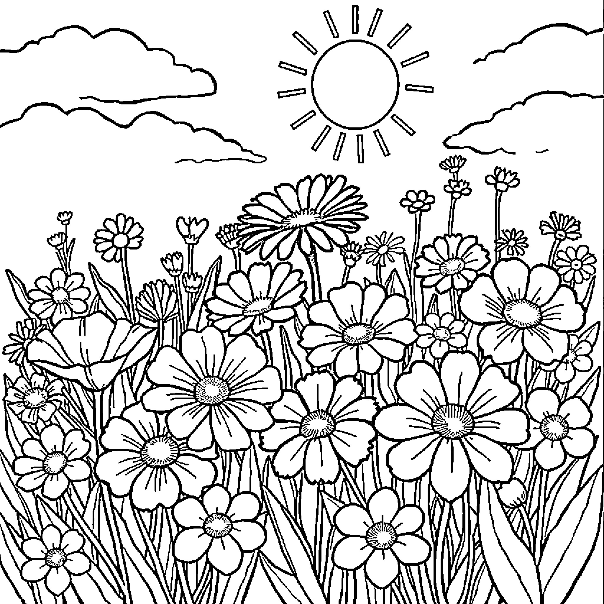 Flower field under a sunny sky Coloring Page (free black-and-white line drawing printable PDF for all, from beginners to advanced learners, including children, teens, adults, and seniors)