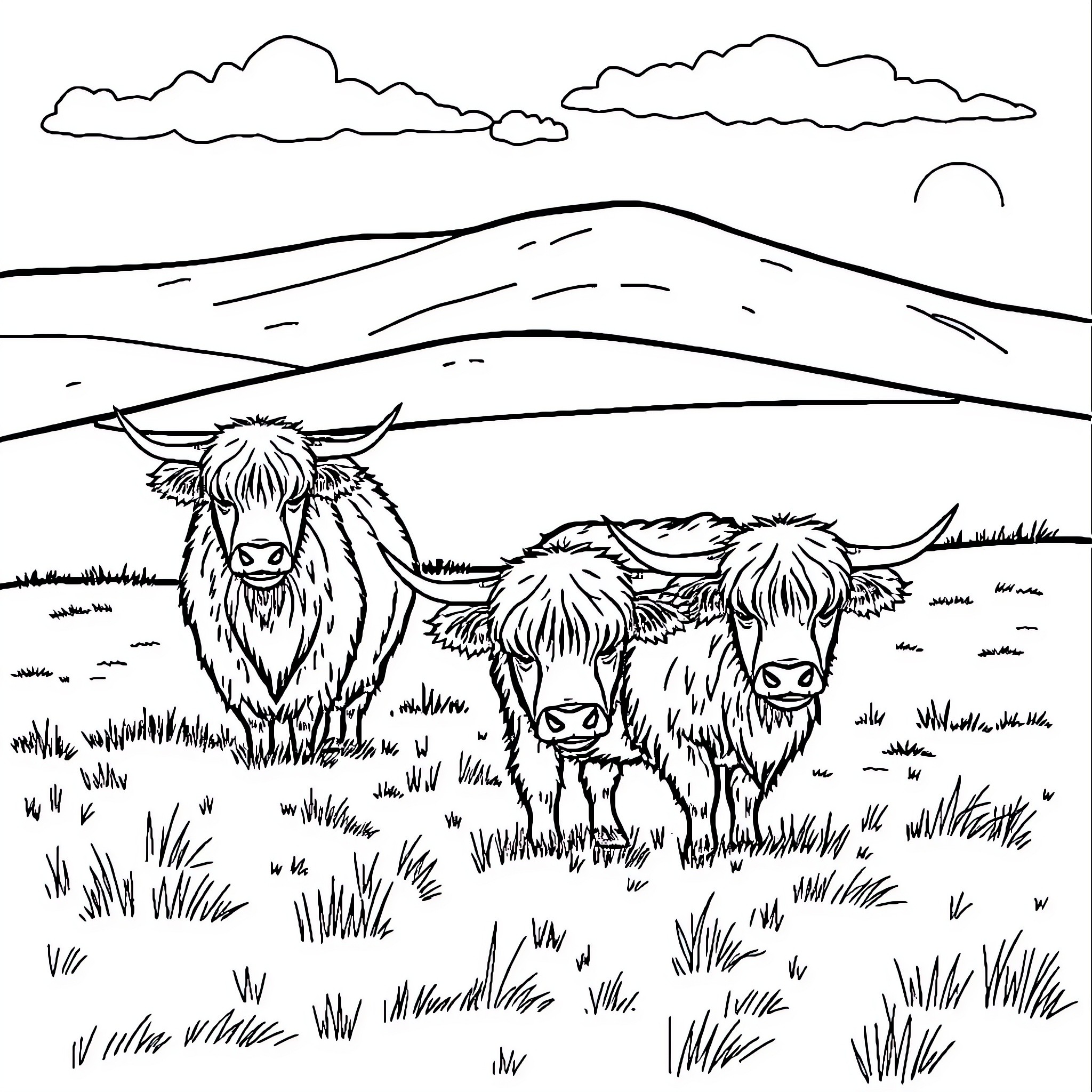Highland Cows Grazing in a Scenic Landscape Coloring Page (free black-and-white line drawing printable PDF for all, from beginners to advanced learners, including children, teens, adults, and seniors)