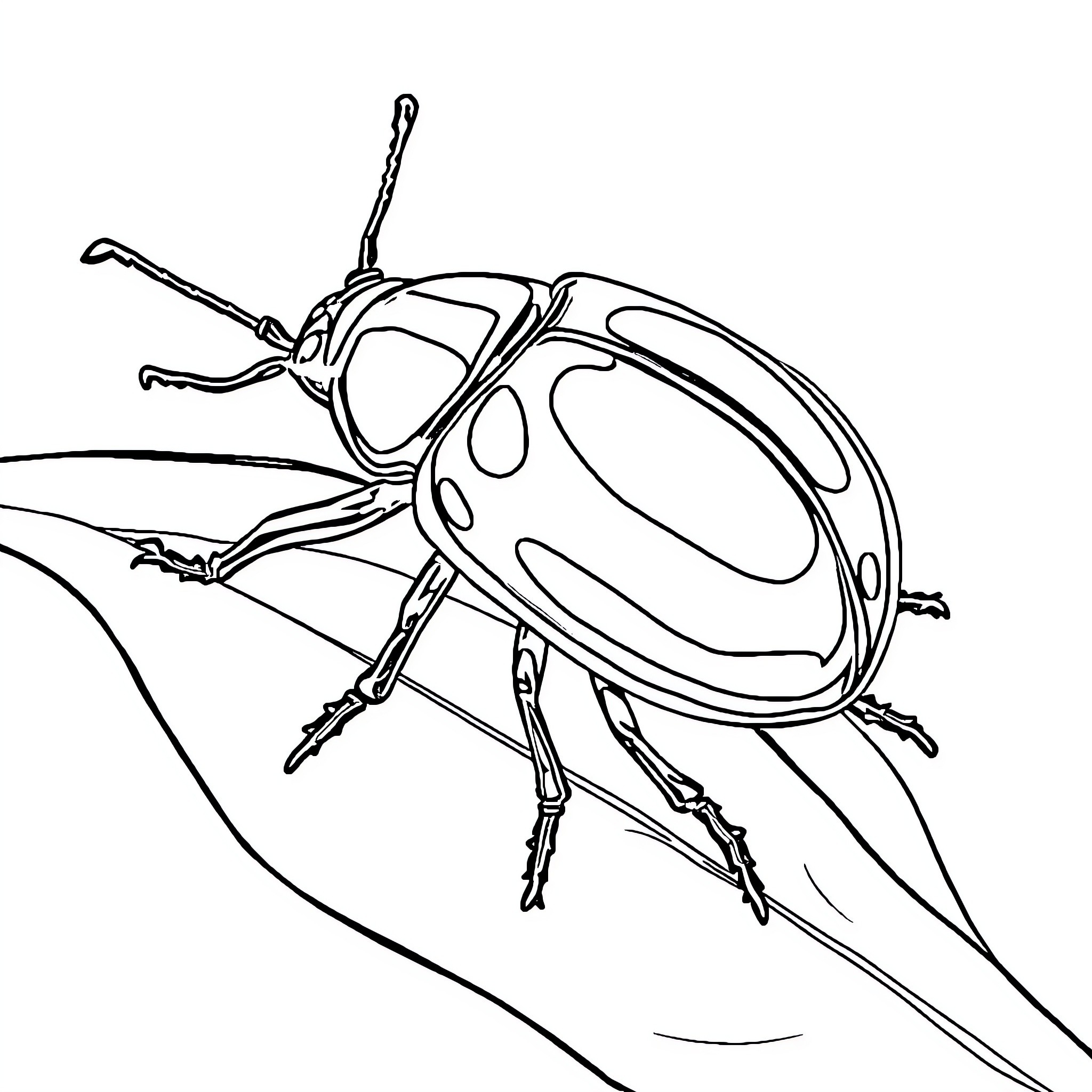 Beetle crawling on leaf Coloring Page (free black-and-white line drawing printable PDF for all, from beginners to advanced learners, including children, teens, adults, and seniors)