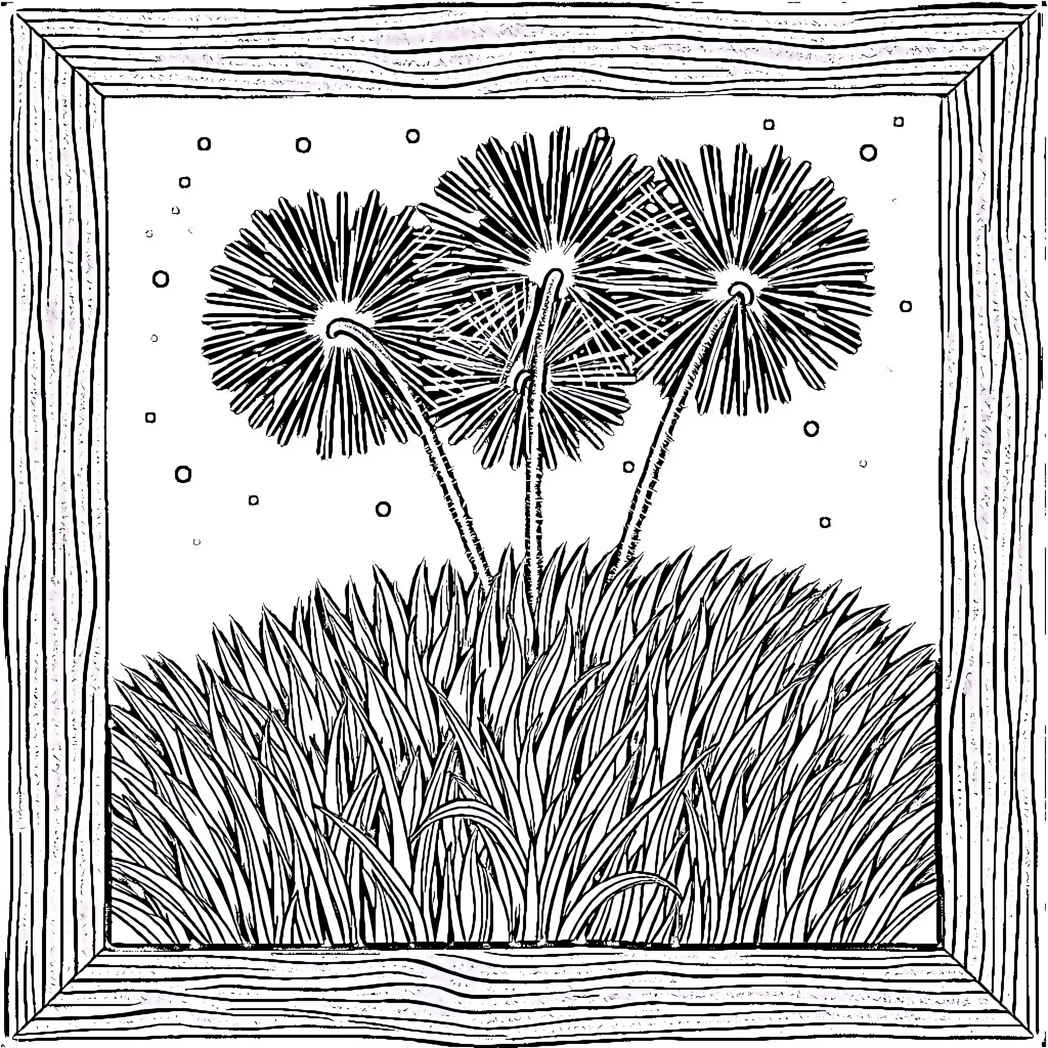 Firework Display in Nature's Frame Coloring Page (free black-and-white line drawing printable PDF for all, from beginners to advanced learners, including children, teens, adults, and seniors)