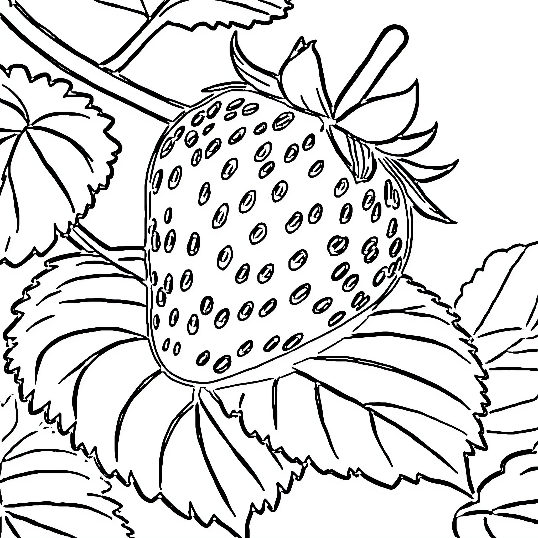 Strawberry in a Whimsical Floral Scene Coloring Page (free black-and-white line drawing printable PDF for all, from beginners to advanced learners, including children, teens, adults, and seniors)
