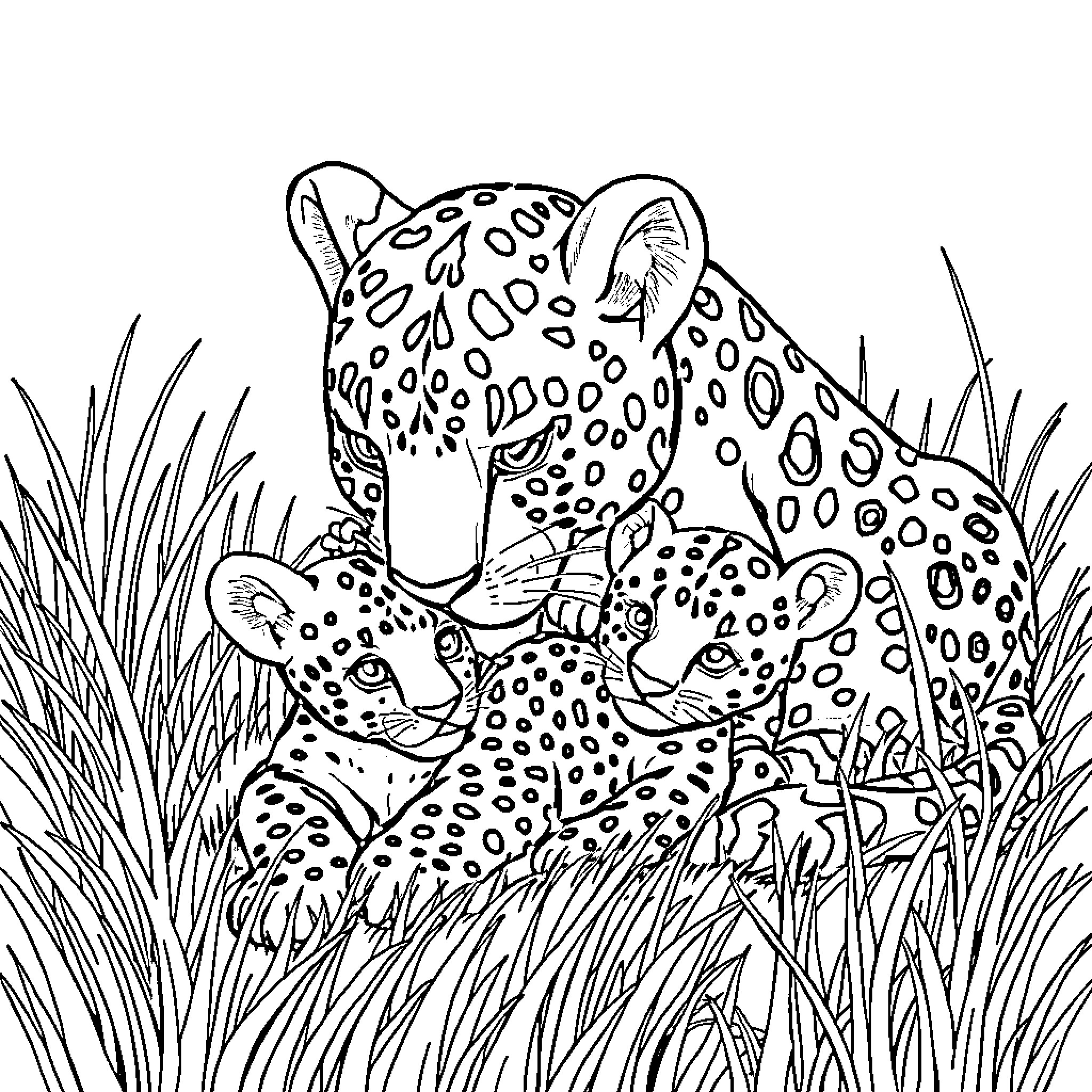 Leopard resting with its cub in the wilderness Coloring Page (free black-and-white line drawing printable PDF for all, from beginners to advanced learners, including children, teens, adults, and seniors)