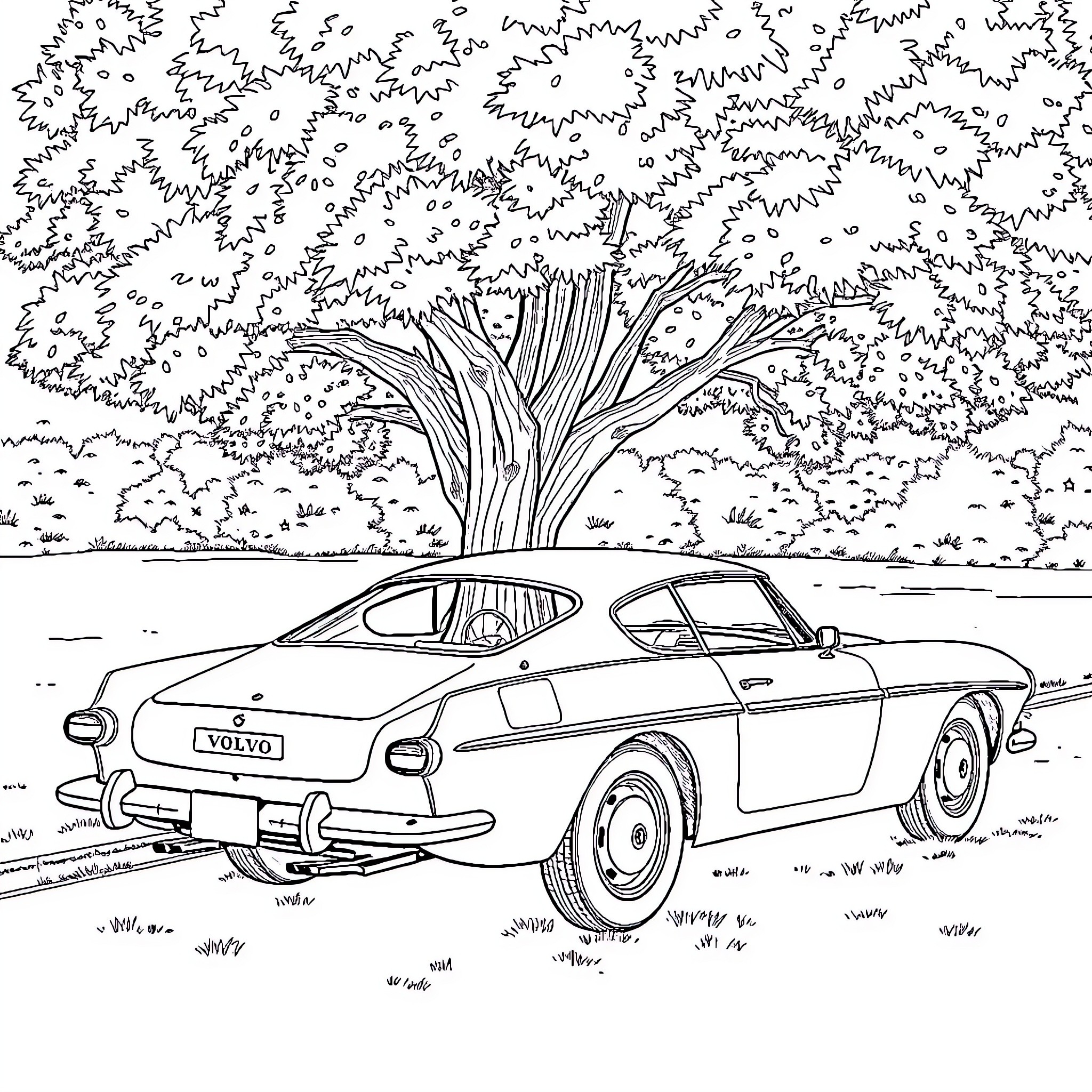 Volvo P1800ES sports car in natural setting Coloring Page (free black-and-white line drawing printable PDF for all, from beginners to advanced learners, including children, teens, adults, and seniors)