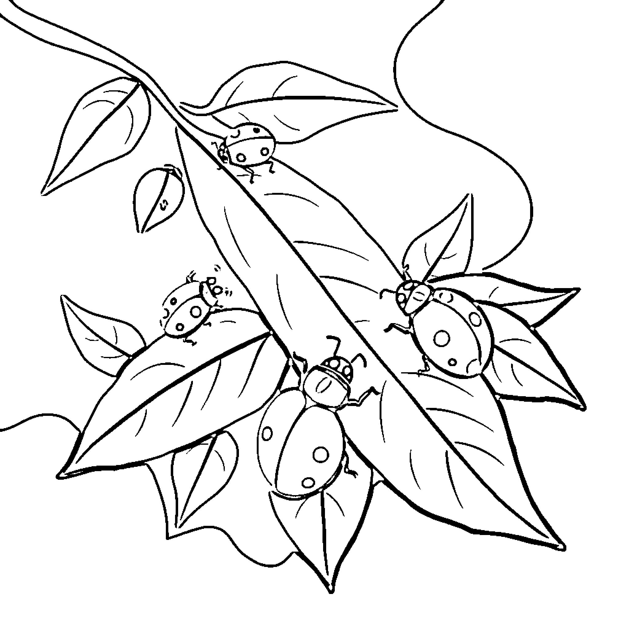 Ladybug climbing on leaves Coloring Page (free black-and-white line drawing printable PDF for all, from beginners to advanced learners, including children, teens, adults, and seniors)