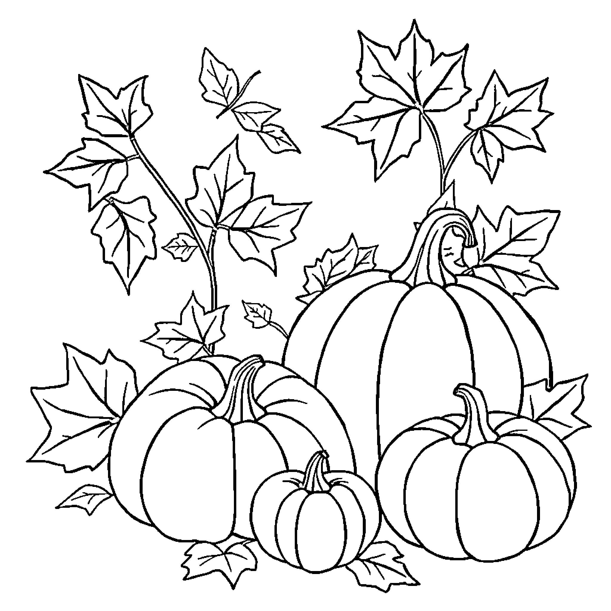 November Pumpkins and Autumn Leaves Coloring Page (free black-and-white line drawing printable PDF for all, from beginners to advanced learners, including children, teens, adults, and seniors)