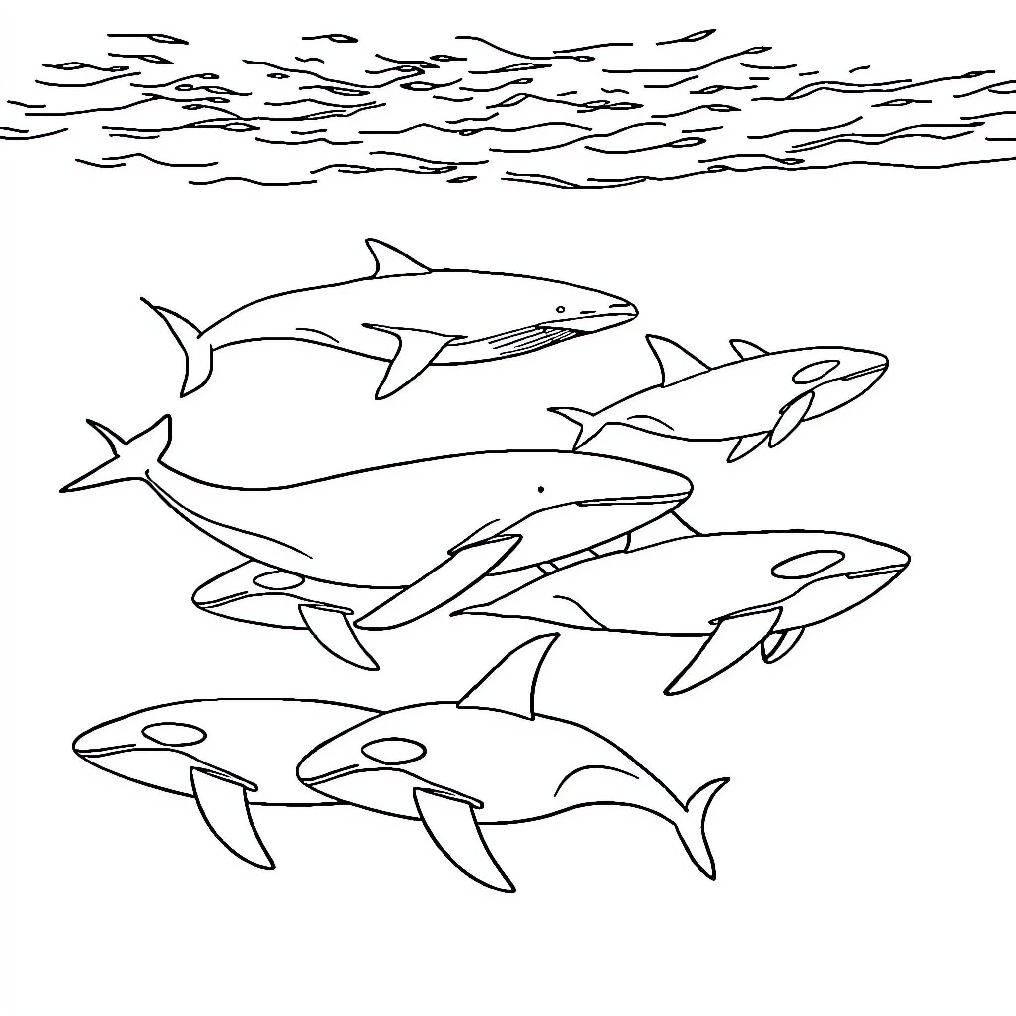 Whale Sharks Swimming in the Ocean Coloring Page (free black-and-white line drawing printable PDF for all, from beginners to advanced learners, including children, teens, adults, and seniors)