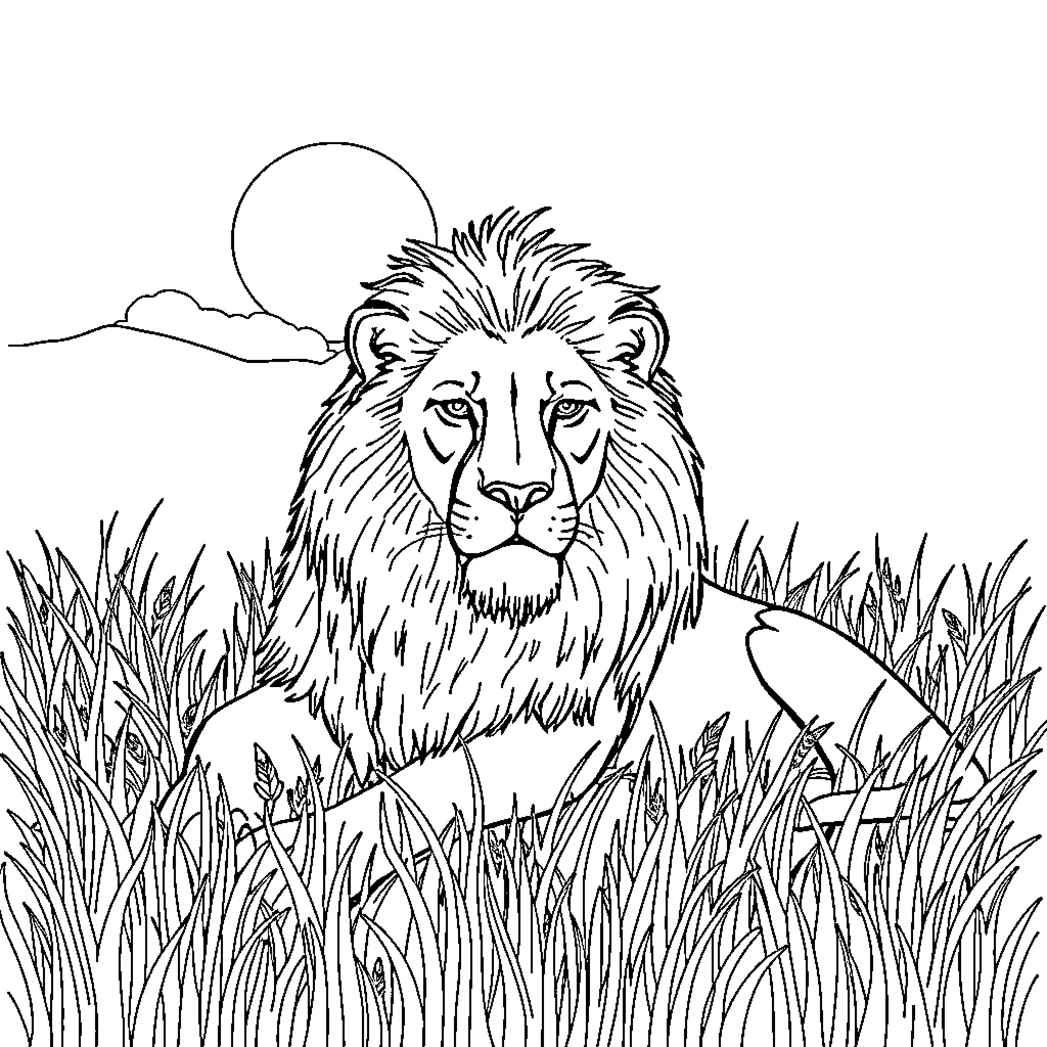 Lion resting peacefully in the tall grass Coloring Page (free black-and-white line drawing printable PDF for all, from beginners to advanced learners, including children, teens, adults, and seniors)