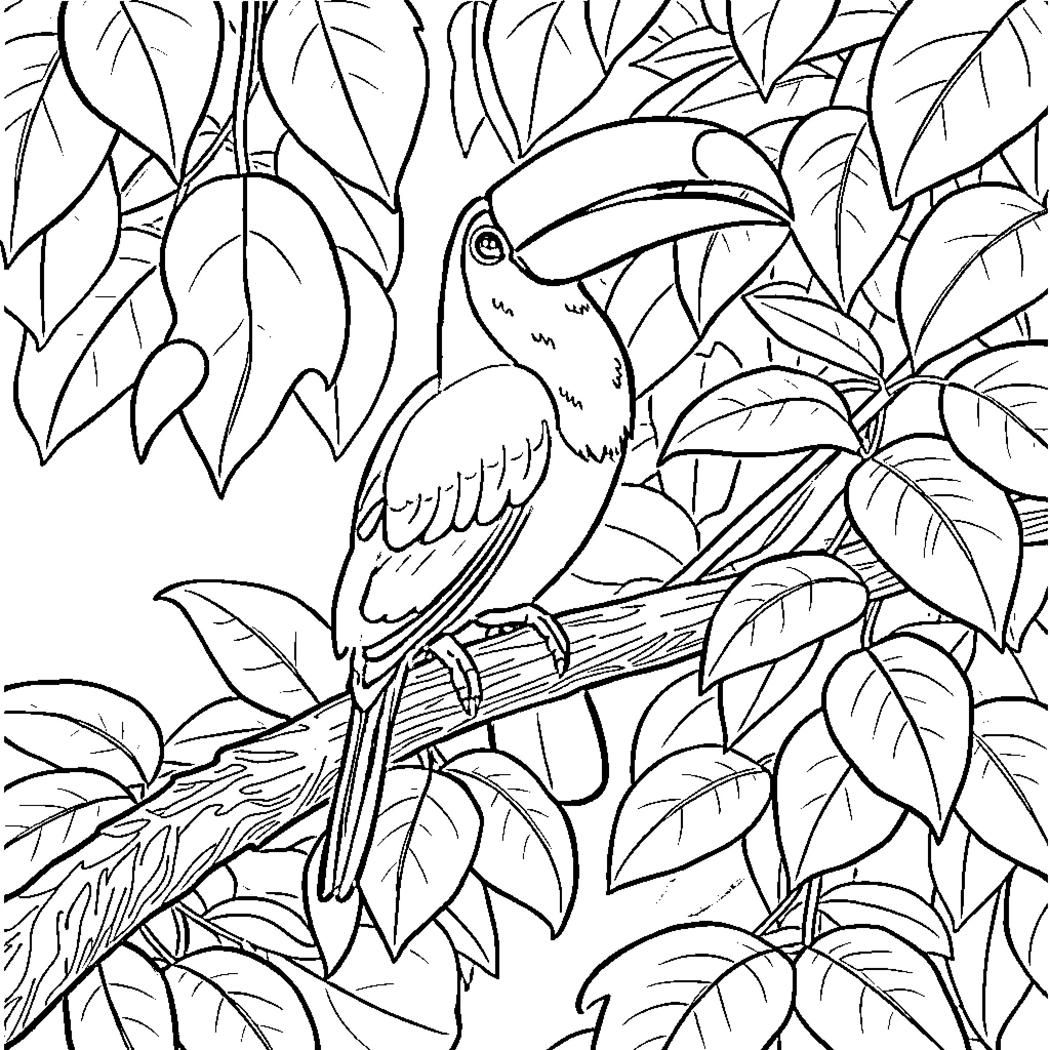 Toucan perched amidst lush foliage Coloring Page (free black-and-white line drawing printable PDF for all, from beginners to advanced learners, including children, teens, adults, and seniors)
