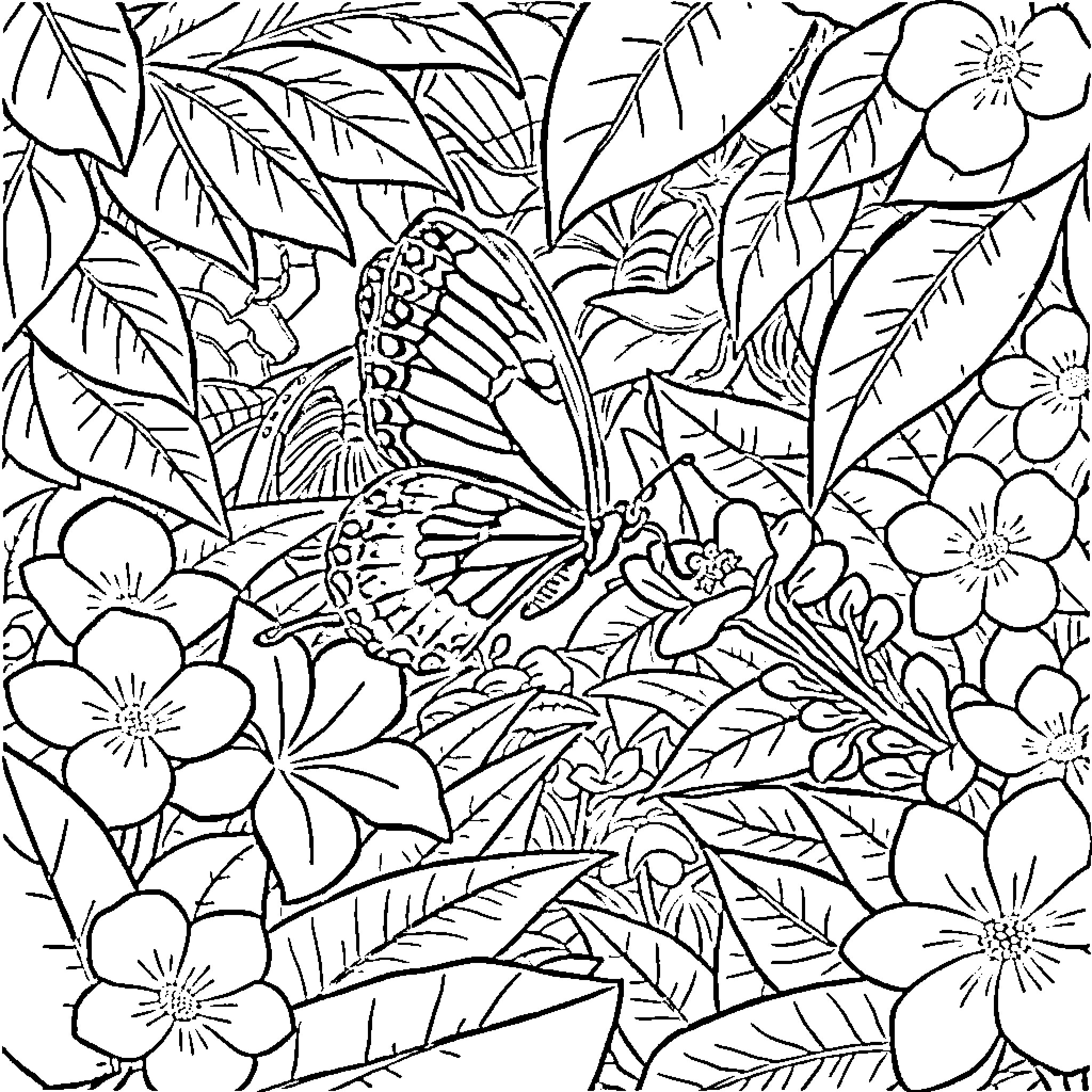 Butterfly amid tropical flora and flowers Coloring Page (free black-and-white line drawing printable PDF for all, from beginners to advanced learners, including children, teens, adults, and seniors)