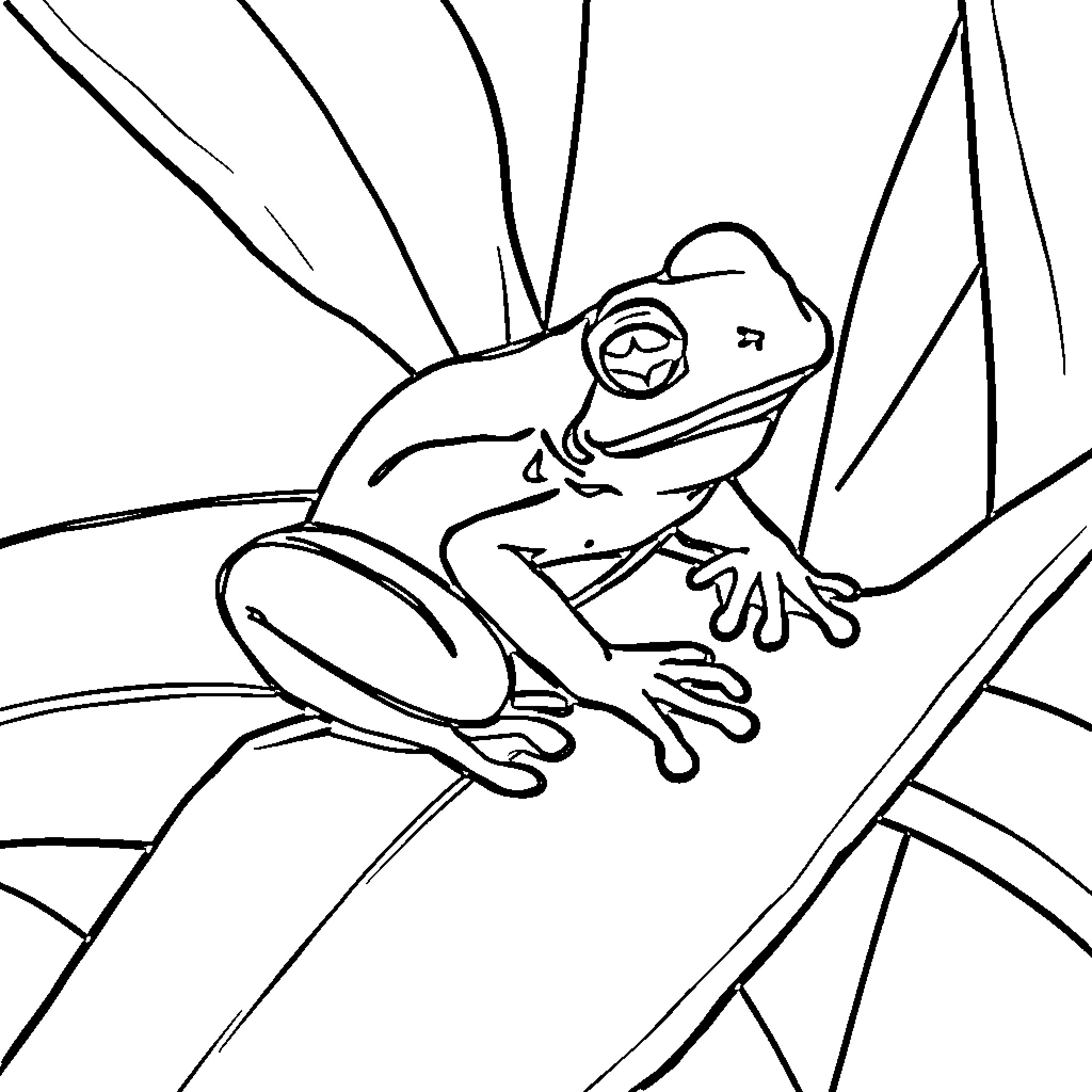 Frog sitting on branch with leaves Coloring Page (free black-and-white line drawing printable PDF for all, from beginners to advanced learners, including children, teens, adults, and seniors)