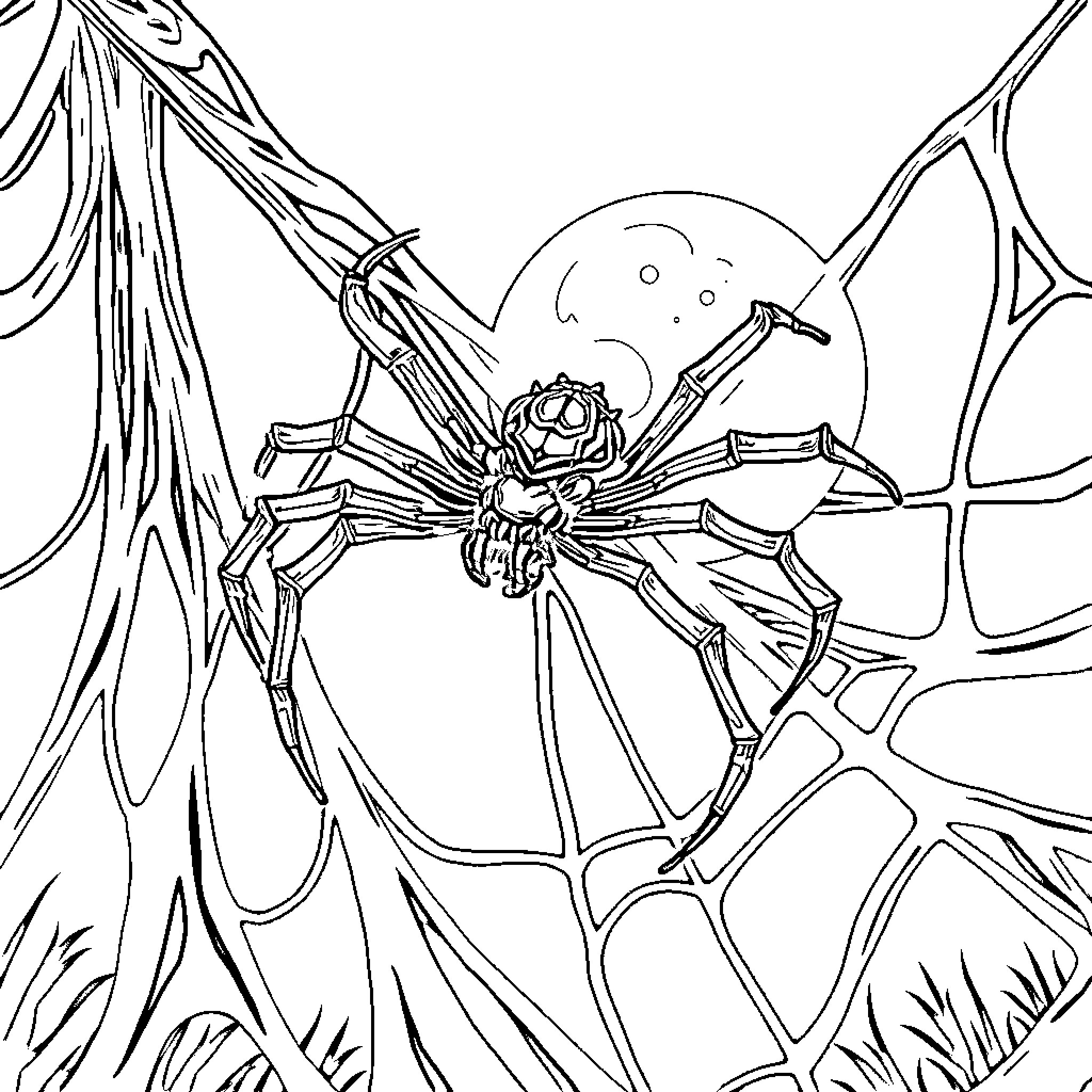 Spider climbing and crawling on a web Coloring Page (free black-and-white line drawing printable PDF for all, from beginners to advanced learners, including children, teens, adults, and seniors)