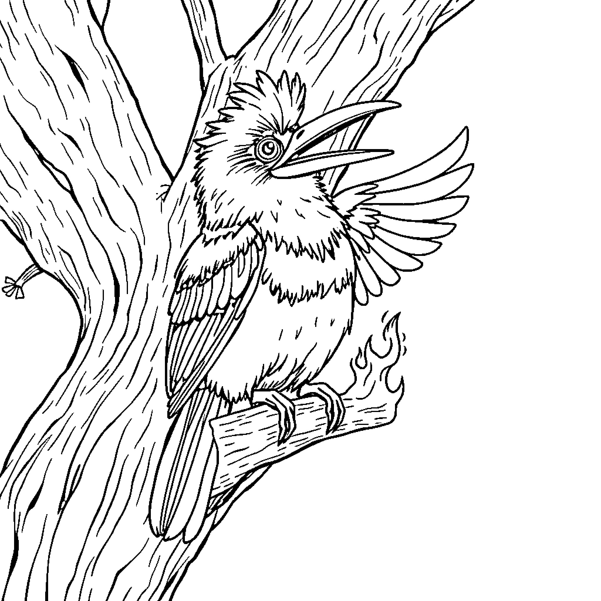 Kookaburra perched on a tree branch Coloring Page (free black-and-white line drawing printable PDF for all, from beginners to advanced learners, including children, teens, adults, and seniors)