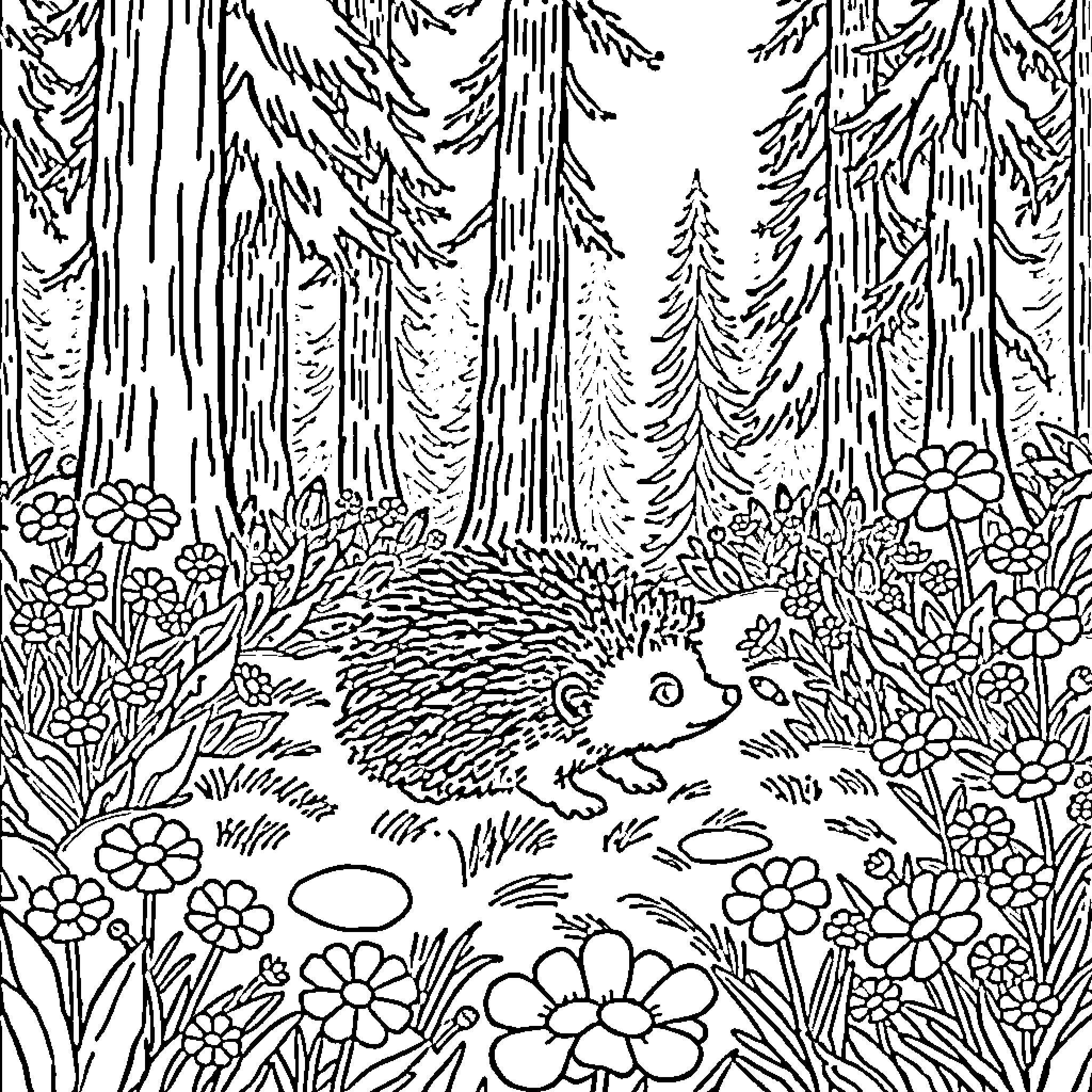 Hedgehog exploring a floral forest scene Coloring Page (free black-and-white line drawing printable PDF for all, from beginners to advanced learners, including children, teens, adults, and seniors)