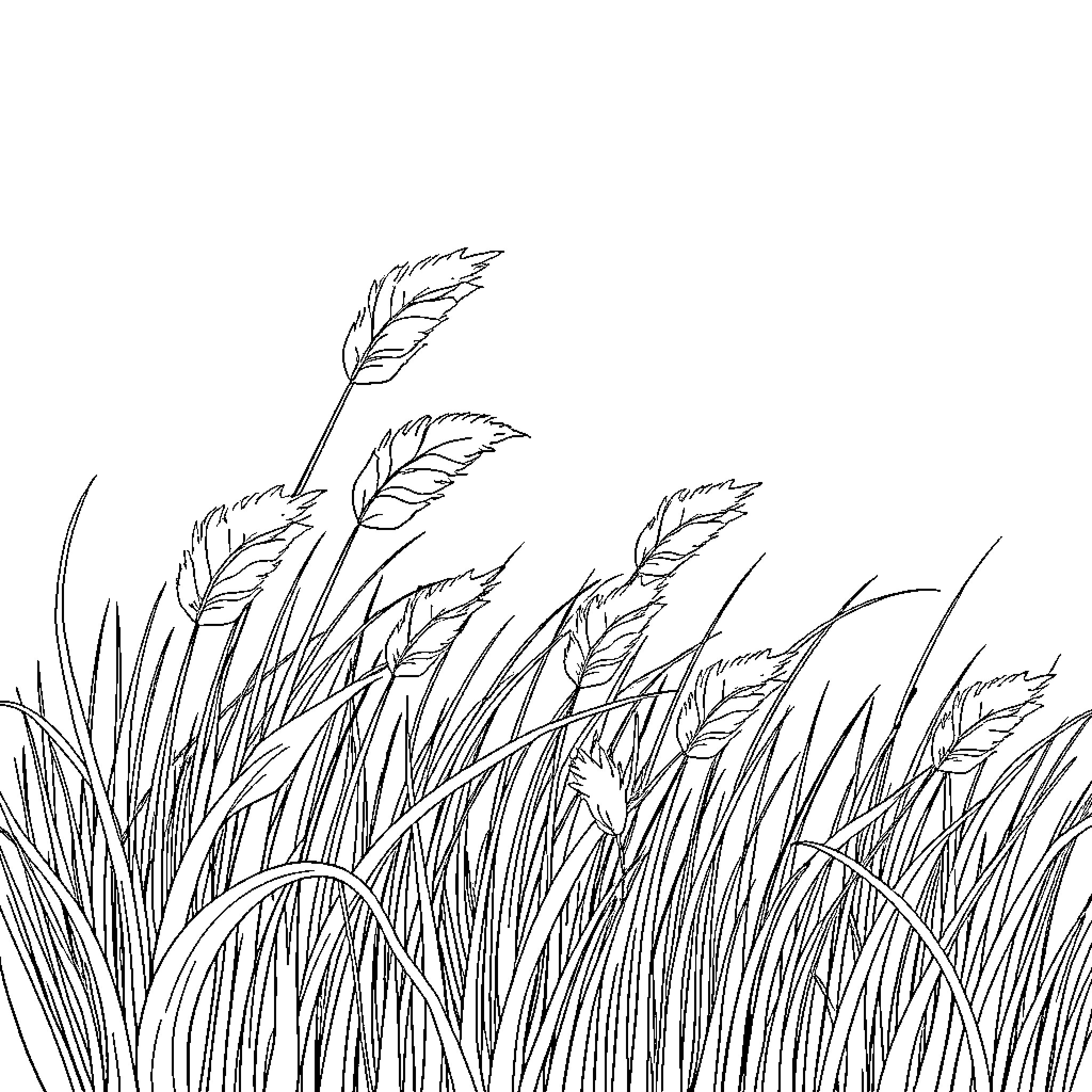 Grass swaying gracefully in the wind Coloring Page (free black-and-white line drawing printable PDF for all, from beginners to advanced learners, including children, teens, adults, and seniors)
