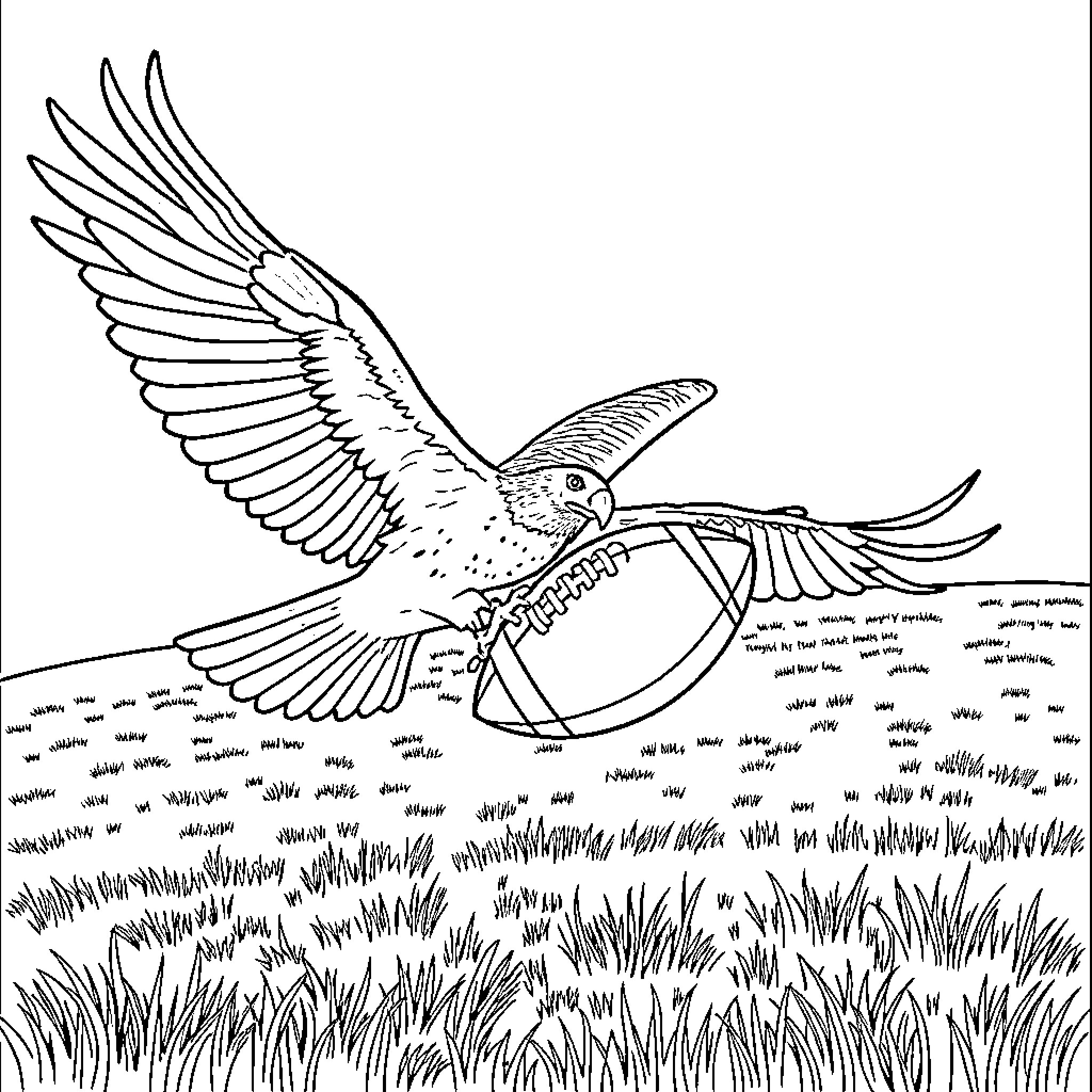 Hawk soaring gracefully over the grassy field Coloring Page (free black-and-white line drawing printable PDF for all, from beginners to advanced learners, including children, teens, adults, and seniors)