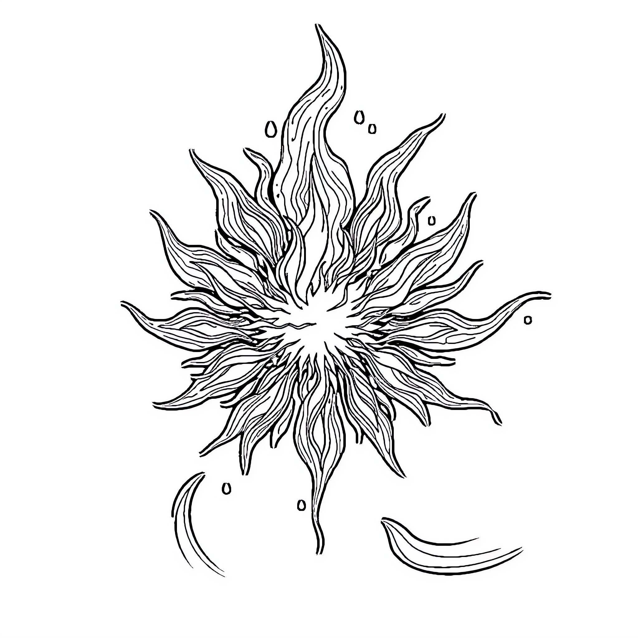 Color Abstract Floral Explosion Coloring Page (free black-and-white line drawing printable PDF for all, from beginners to advanced learners, including children, teens, adults, and seniors)