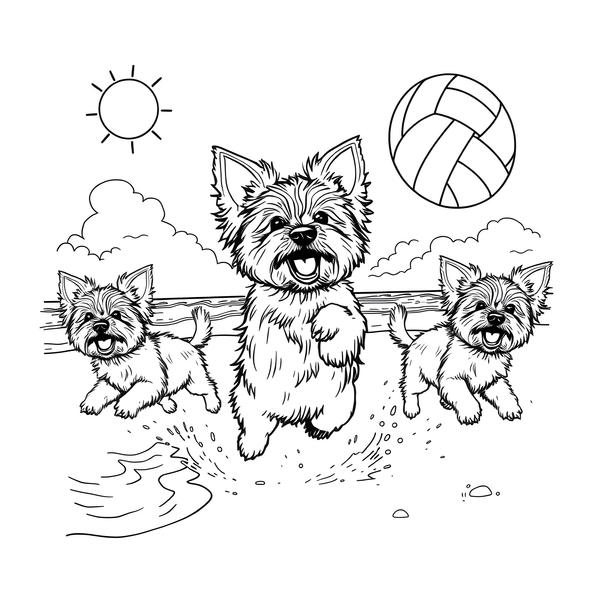 Yorkie dogs playing happily in the park Coloring Page (free black-and-white line drawing printable PDF for all, from beginners to advanced learners, including children, teens, adults, and seniors)