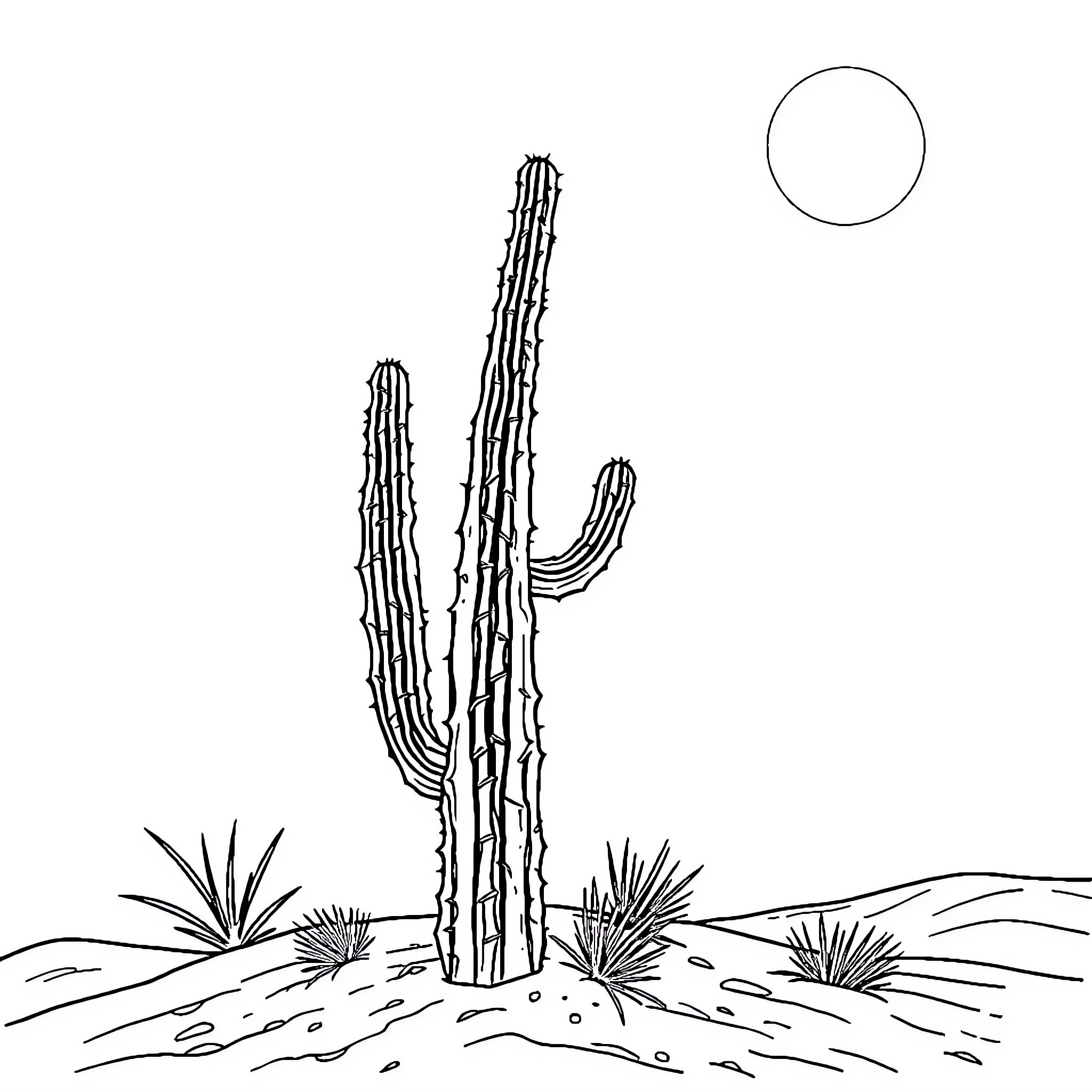 Cactus standing tall in the desert landscape Coloring Page (free black-and-white line drawing printable PDF for all, from beginners to advanced learners, including children, teens, adults, and seniors)