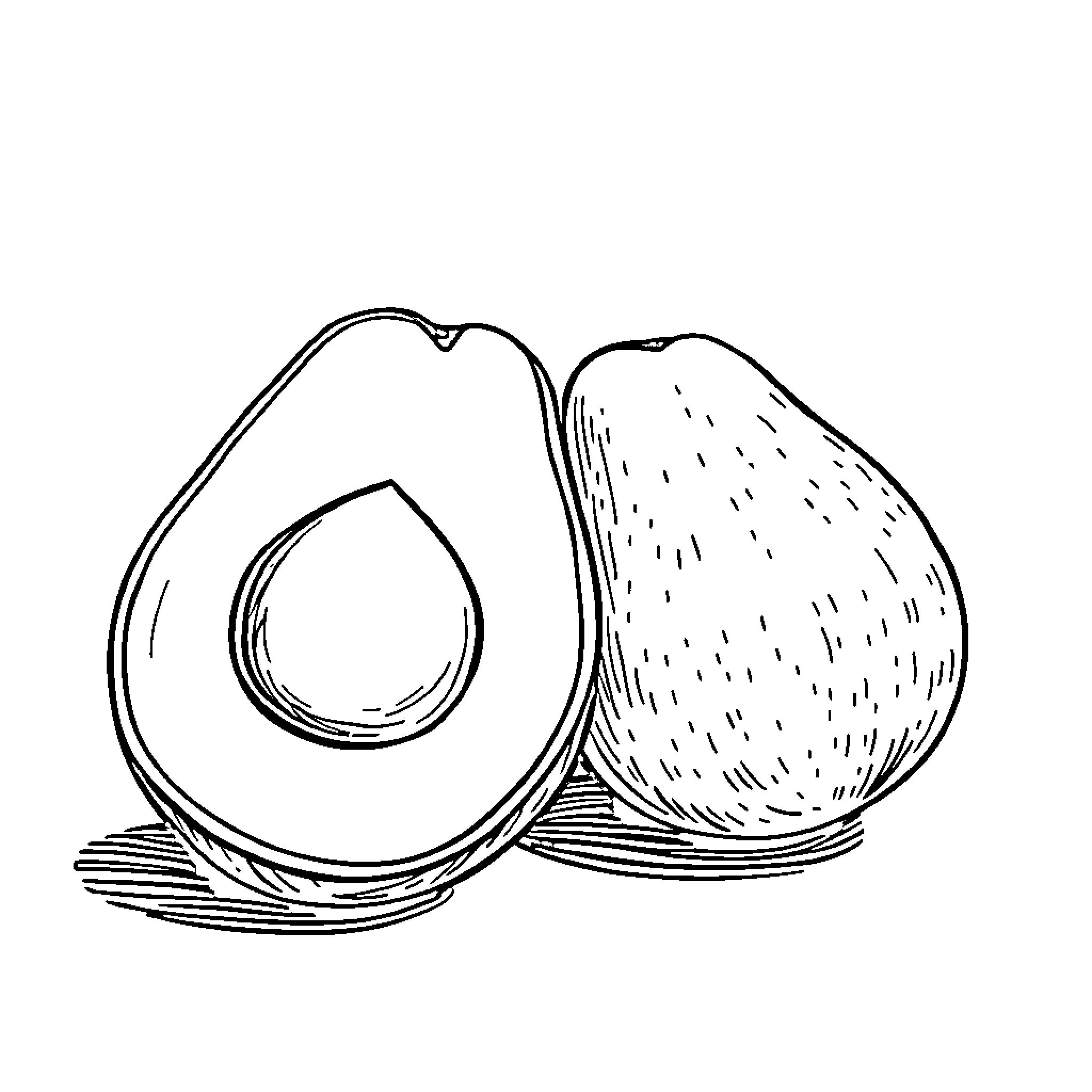 Avocado halves in a simple sketch Coloring Page (free black-and-white line drawing printable PDF for all, from beginners to advanced learners, including children, teens, adults, and seniors)