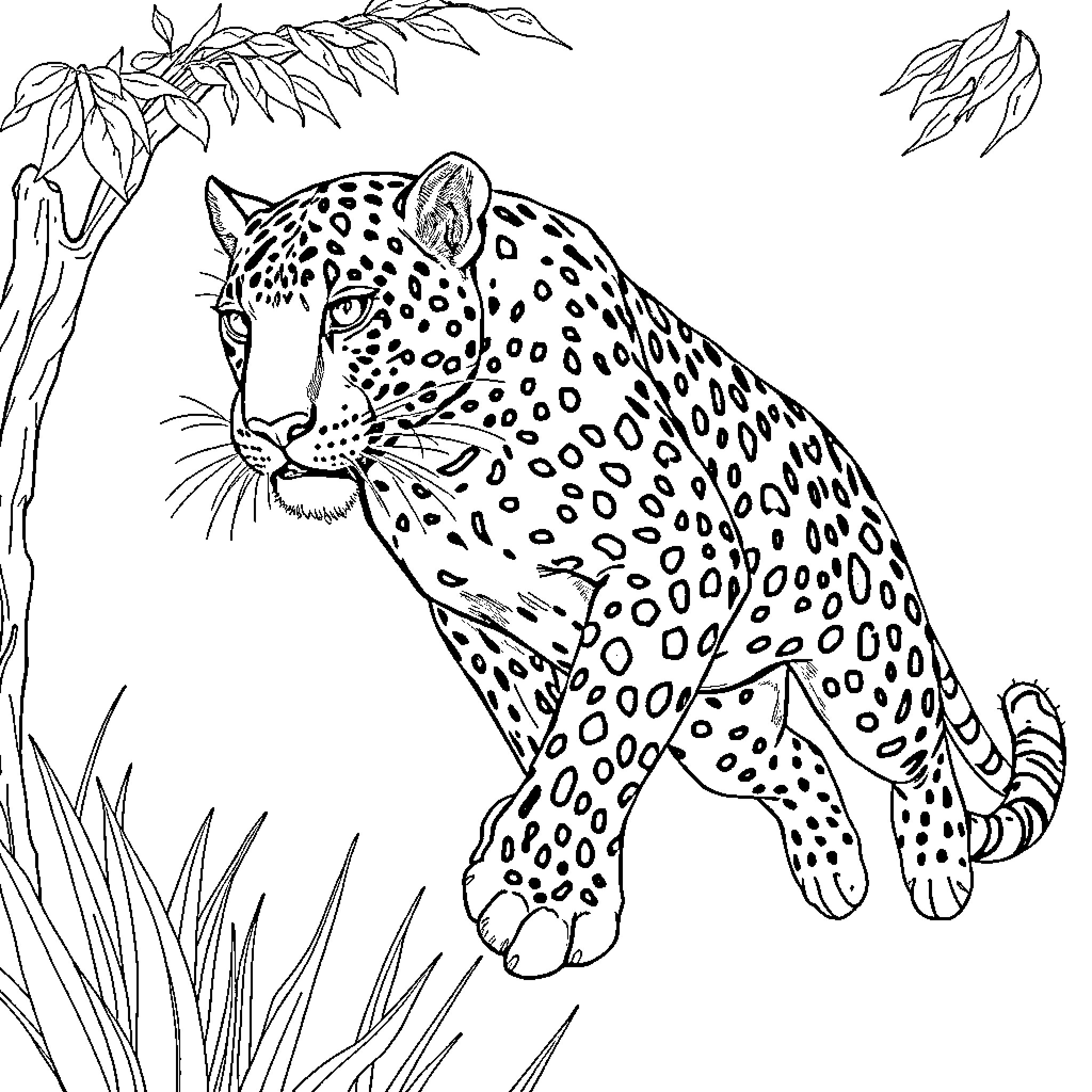 Leopard prowling in the jungle foliage Coloring Page (free black-and-white line drawing printable PDF for all, from beginners to advanced learners, including children, teens, adults, and seniors)