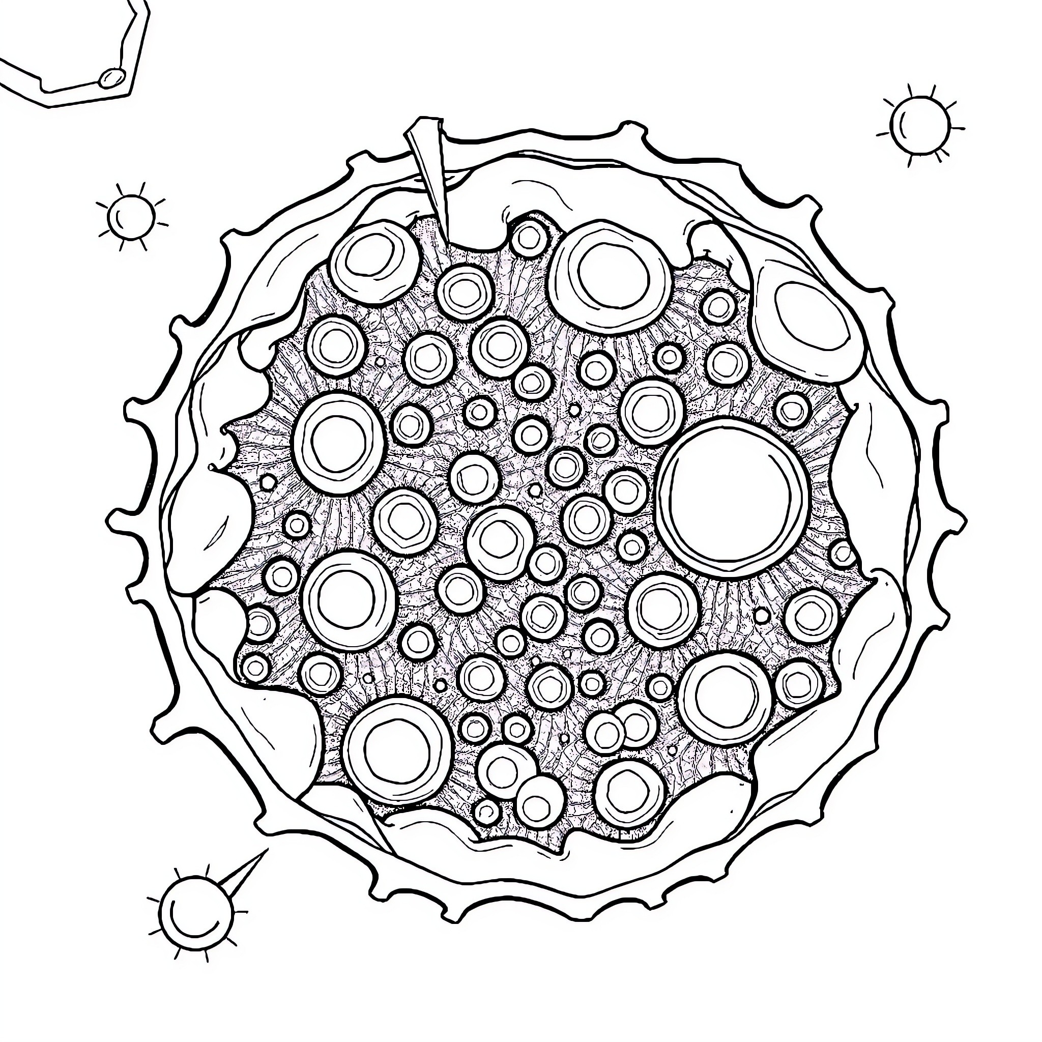 Mitochondria Multiplying in Intricate Pattern Coloring Page (free black-and-white line drawing printable PDF for all, from beginners to advanced learners, including children, teens, adults, and seniors)