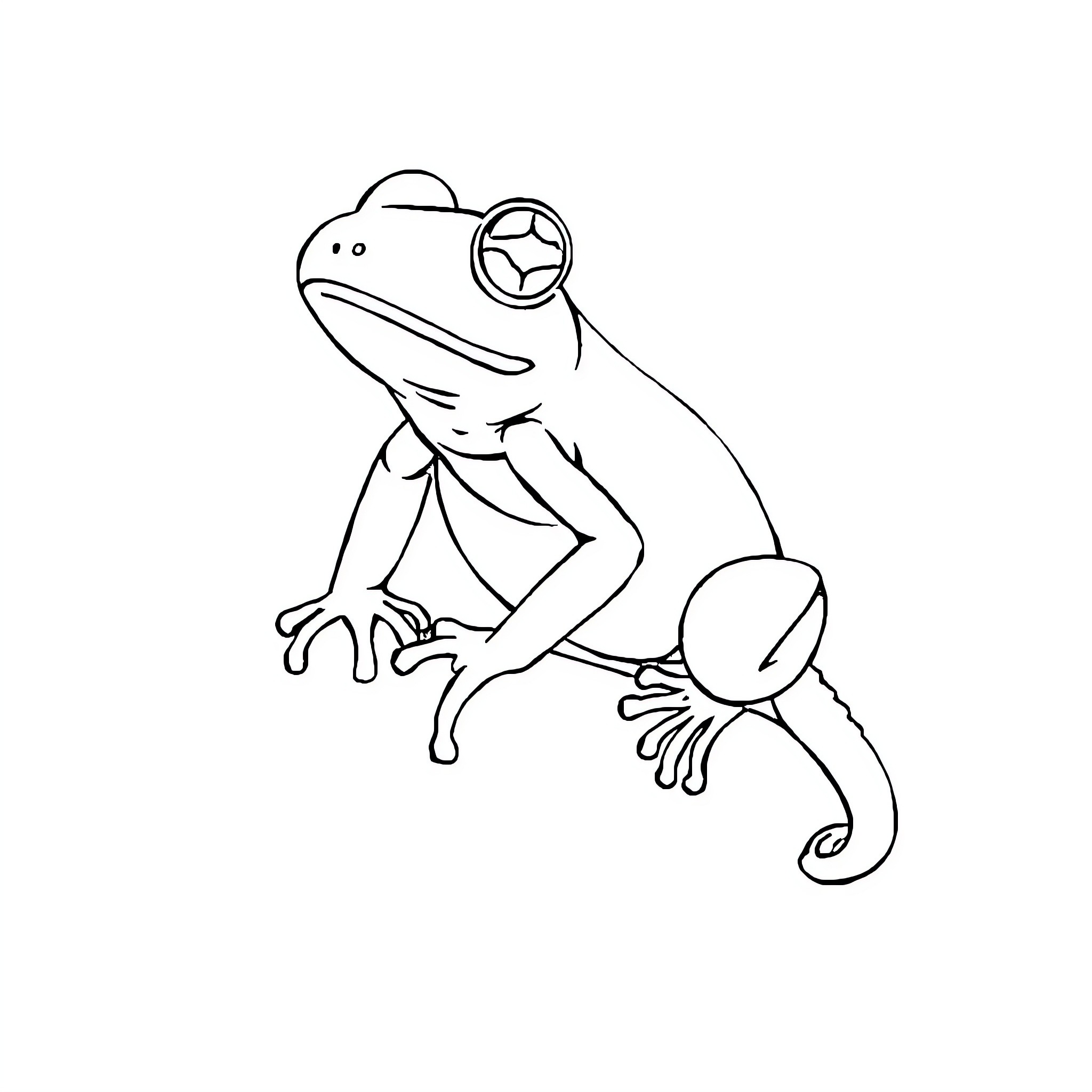 Grenouille playing with star-shaped accessory Coloring Page (free black-and-white line drawing printable PDF for all, from beginners to advanced learners, including children, teens, adults, and seniors)