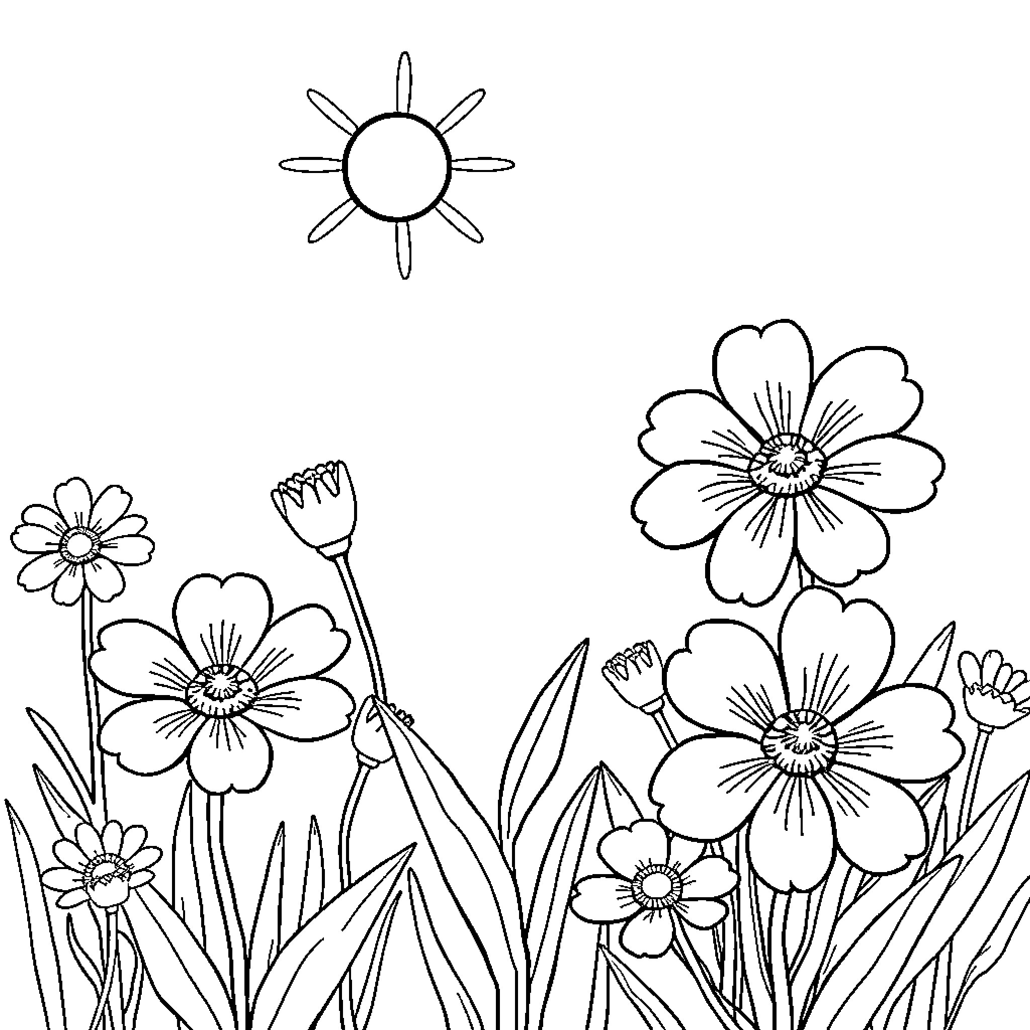 Flower garden with blooming flowers and sunshine Coloring Page (free black-and-white line drawing printable PDF for all, from beginners to advanced learners, including children, teens, adults, and seniors)