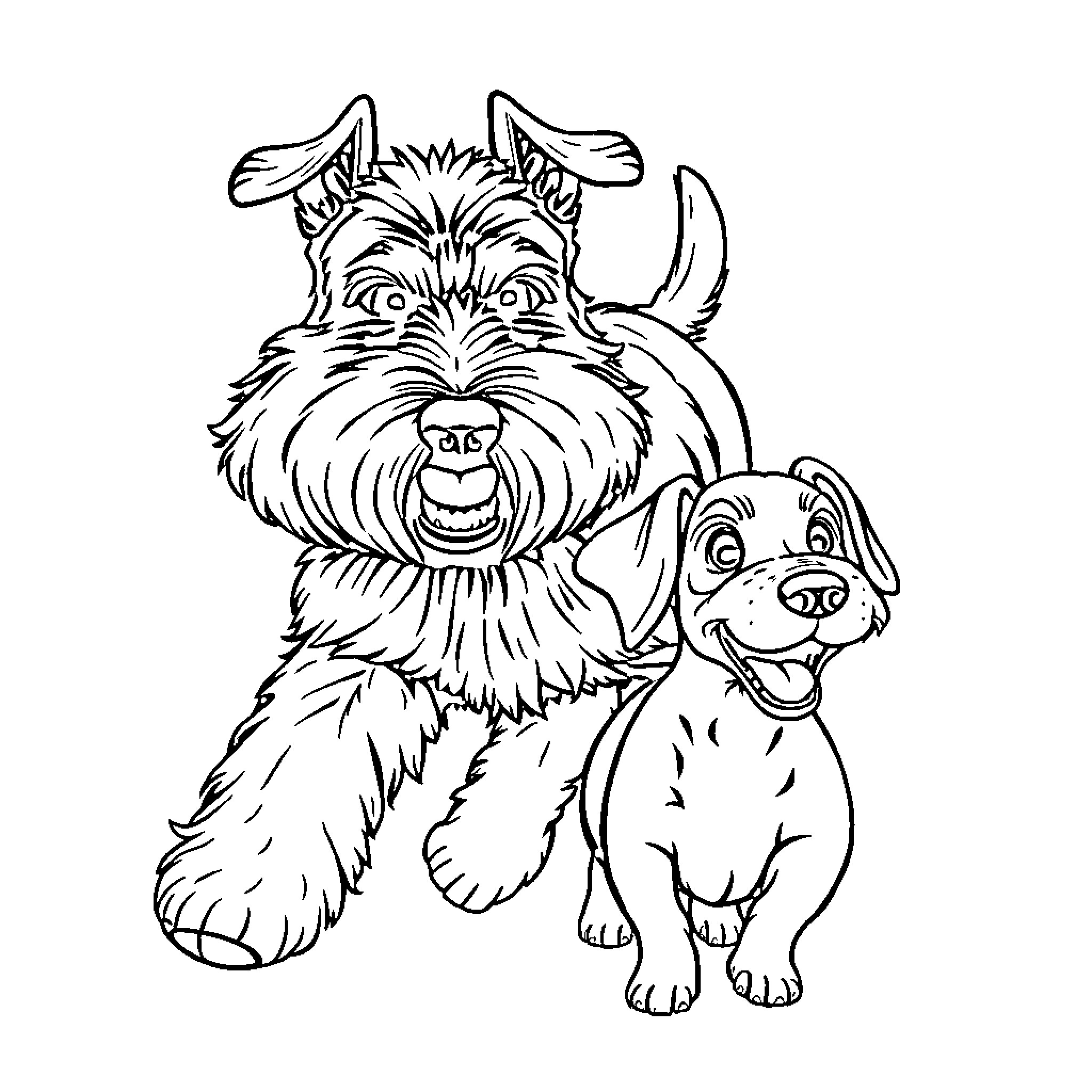 Schnauzer and puppy playing together happily Coloring Page (free black-and-white line drawing printable PDF for all, from beginners to advanced learners, including children, teens, adults, and seniors)