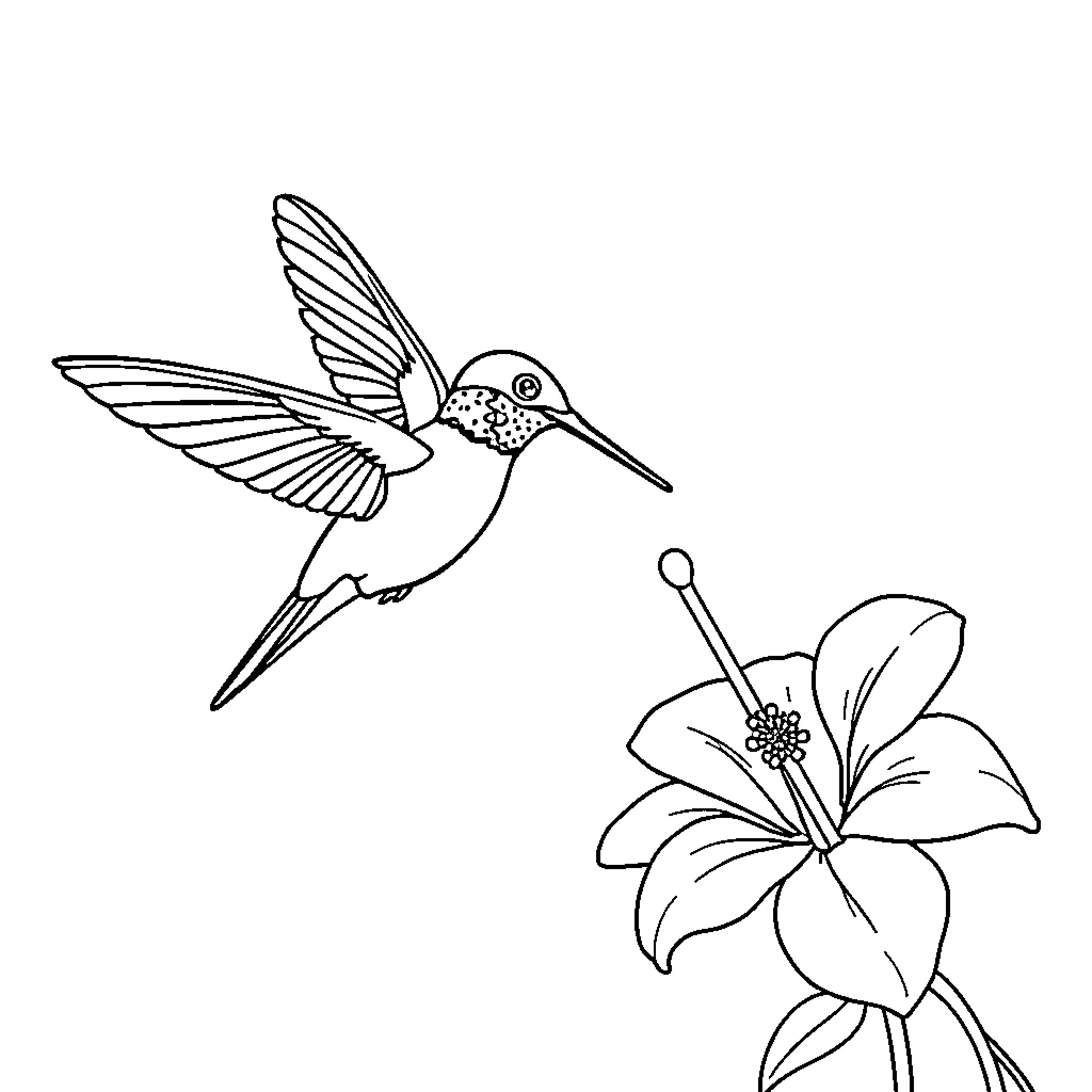 Hummingbird hovering near a floral bloom Coloring Page (free black-and-white line drawing printable PDF for all, from beginners to advanced learners, including children, teens, adults, and seniors)