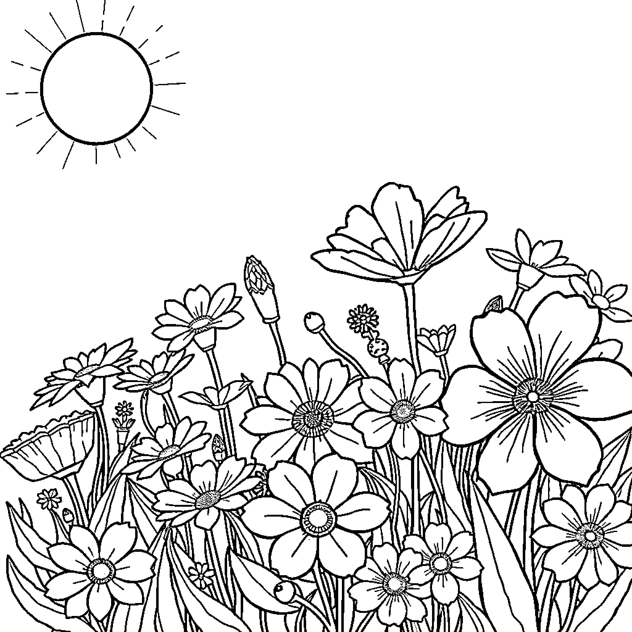 Flower garden in the sunshine Coloring Page (free black-and-white line drawing printable PDF for all, from beginners to advanced learners, including children, teens, adults, and seniors)