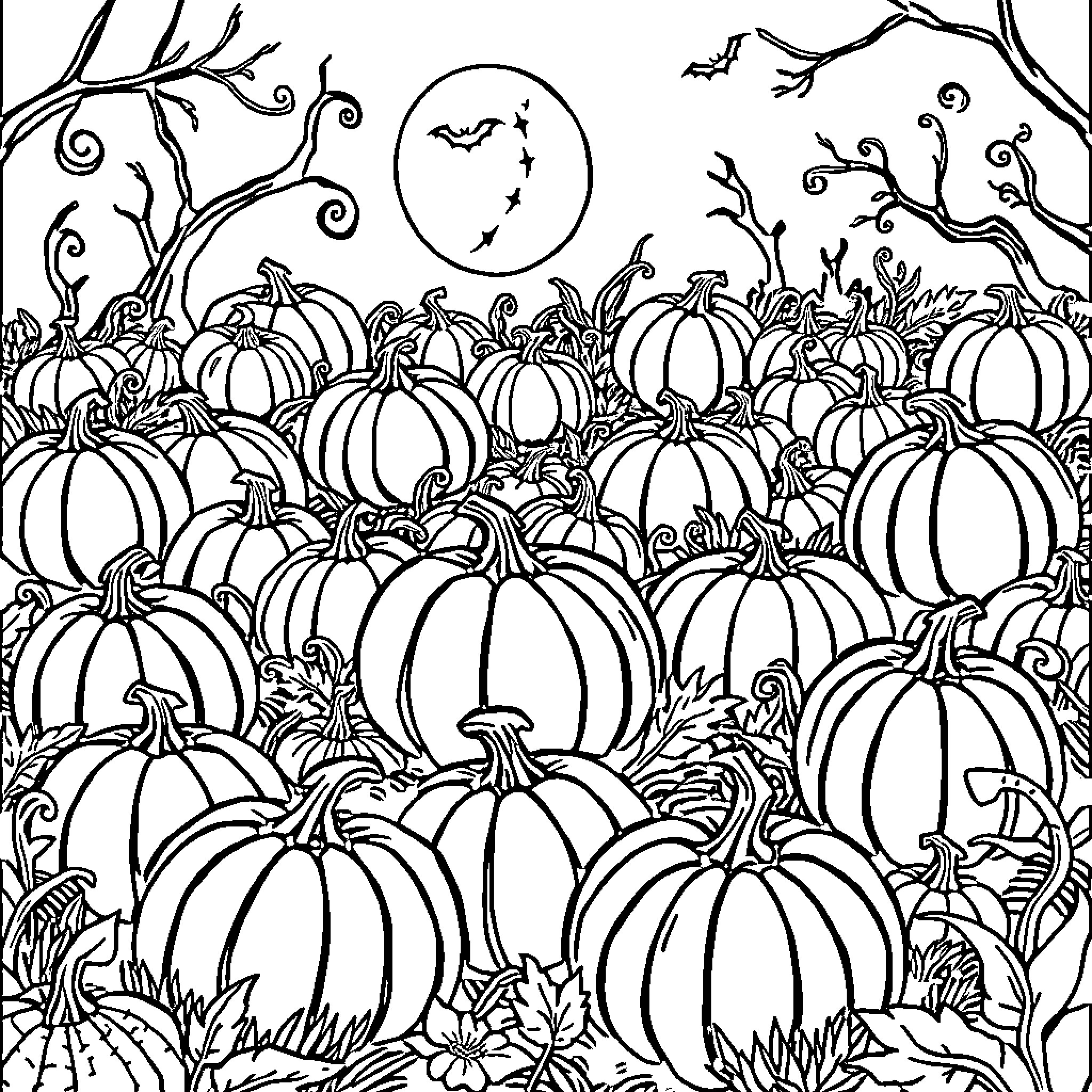 Pumpkin Patch with Bats and Vines Coloring Page (free black-and-white line drawing printable PDF for all, from beginners to advanced learners, including children, teens, adults, and seniors)