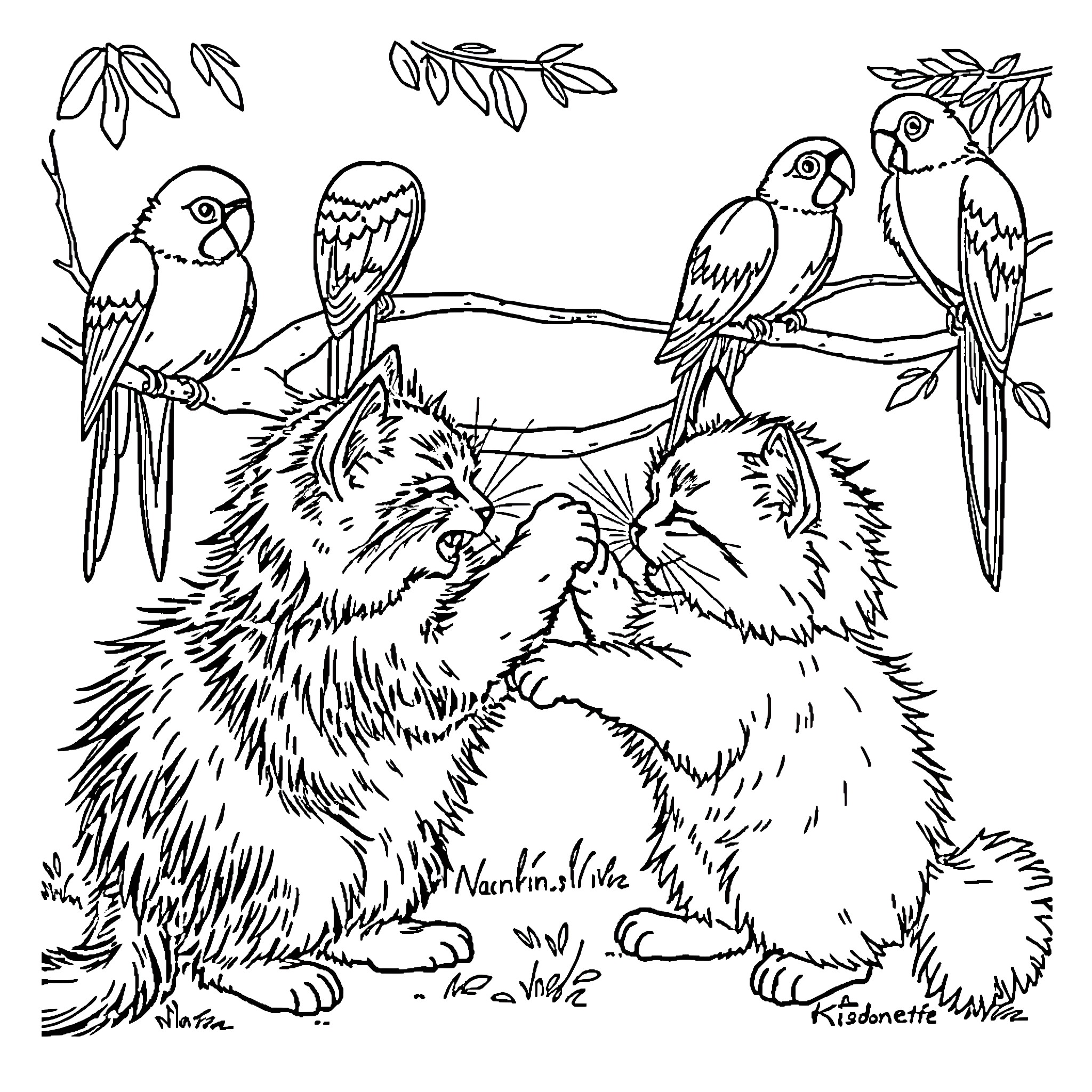 Cat companions surrounded by tropical birds Coloring Page (free black-and-white line drawing printable PDF for all, from beginners to advanced learners, including children, teens, adults, and seniors)